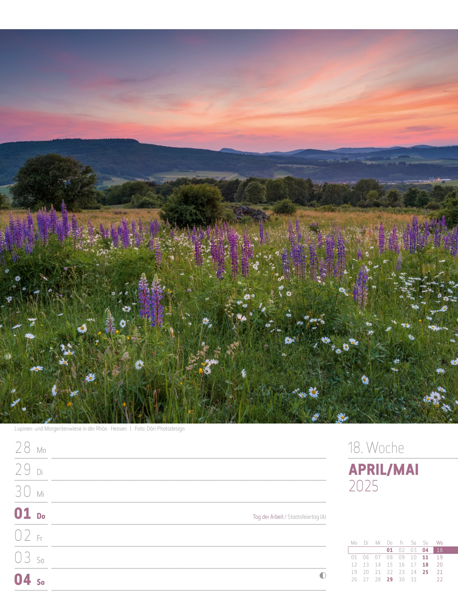 Ackermann Calendar Discover Germany 2025 - Weekly Planner - Inside View 21