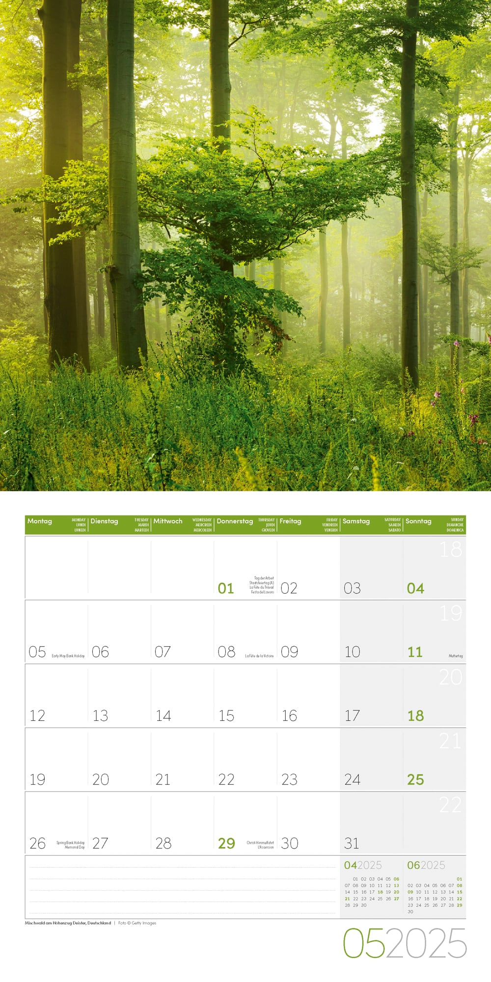 Art12 Collection Kalender Zauber des Waldes 2025 - 30x30 - Innenansicht 05