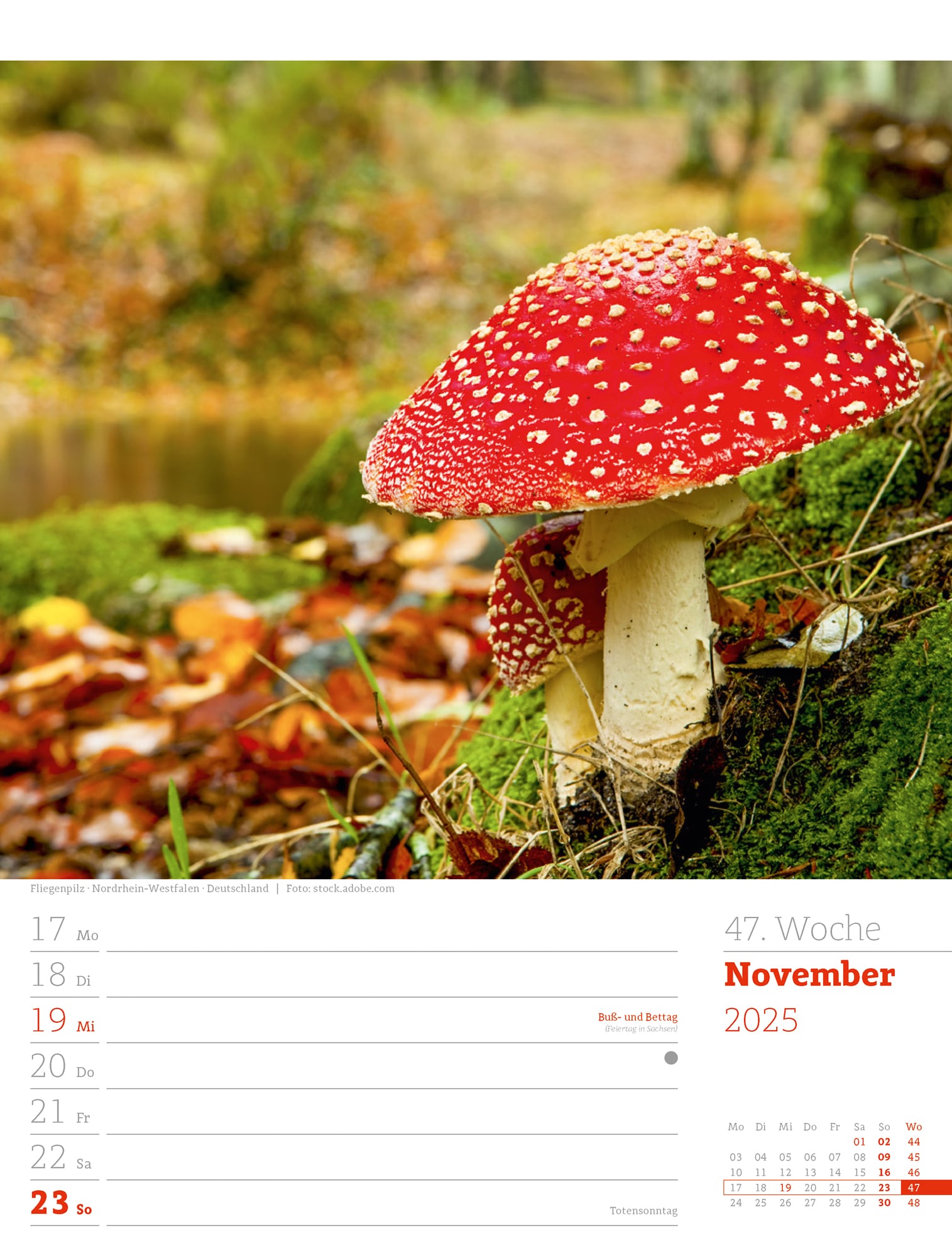 Ackermann Calendar Our Forest 2025 - Weekly Planner - Inside View 50