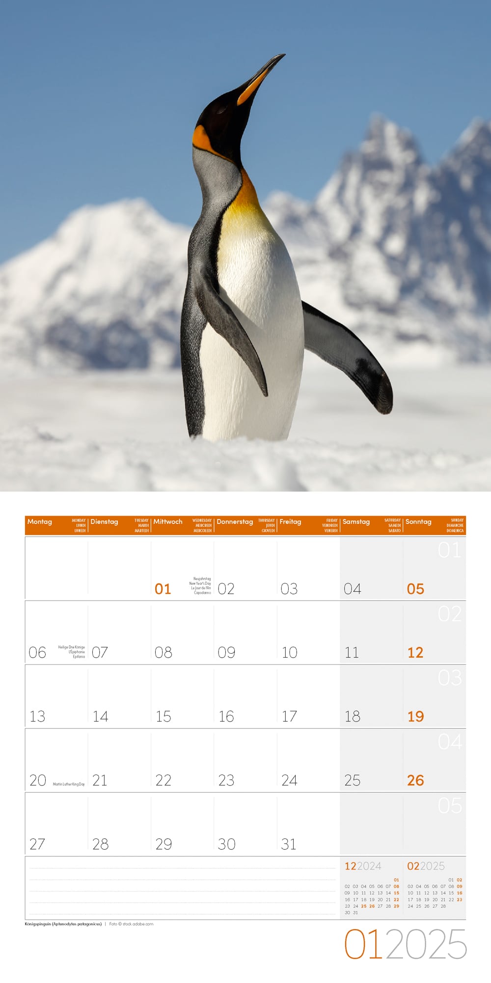 Art12 Collection Kalender Pinguine 2025 - 30x30 - Innenansicht 01