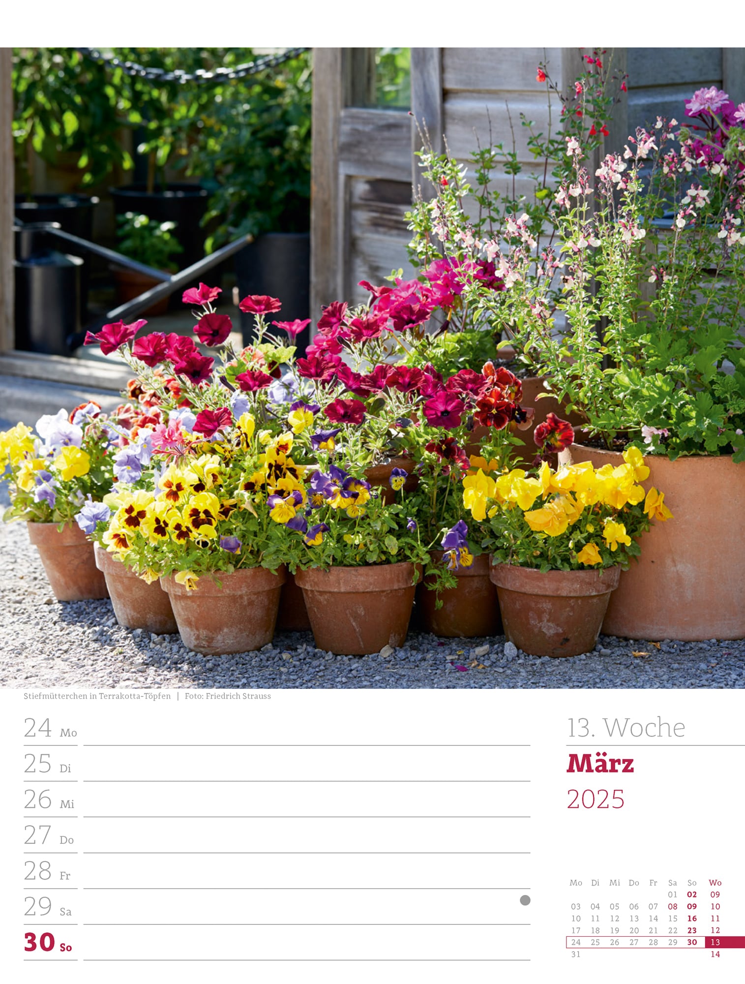 Ackermann Calendar Beautiful Gardens 2025 - Weekly Planner - Inside View 16