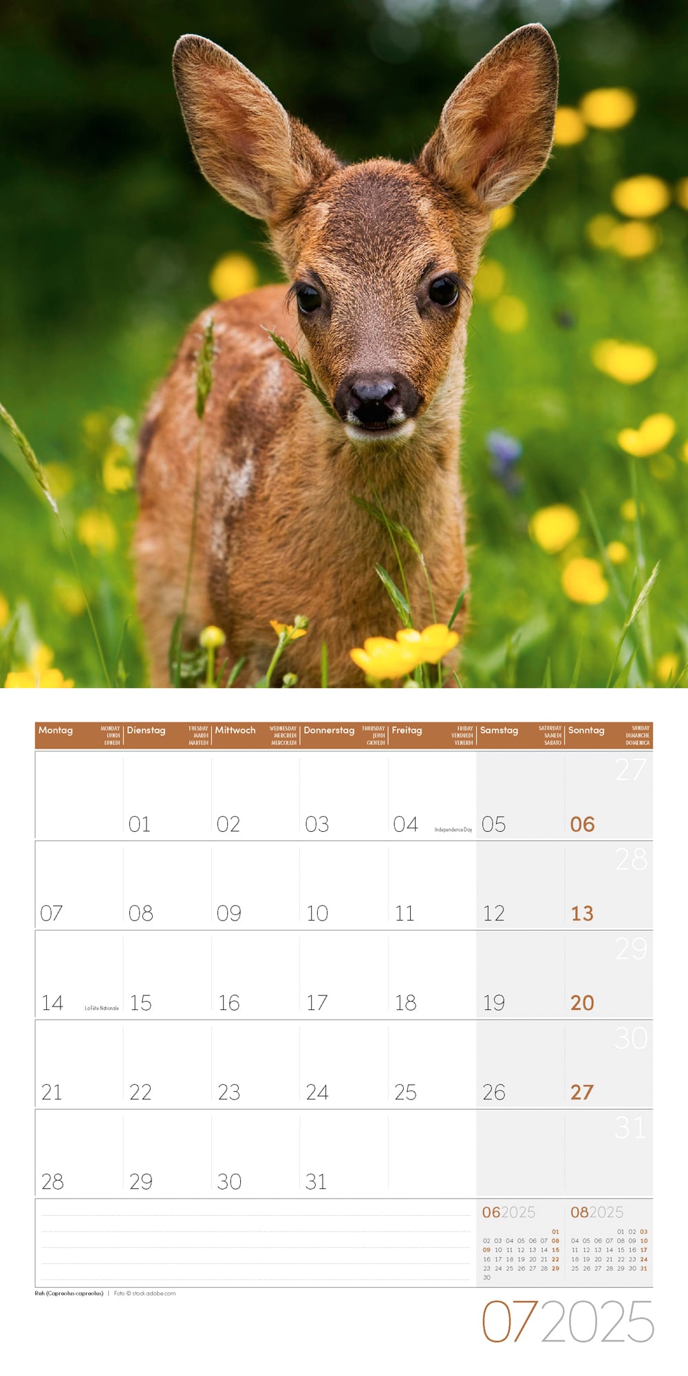 Art12 Collection Kalender Heimische Wildtiere 2025 - 30x30 - Innenansicht 07