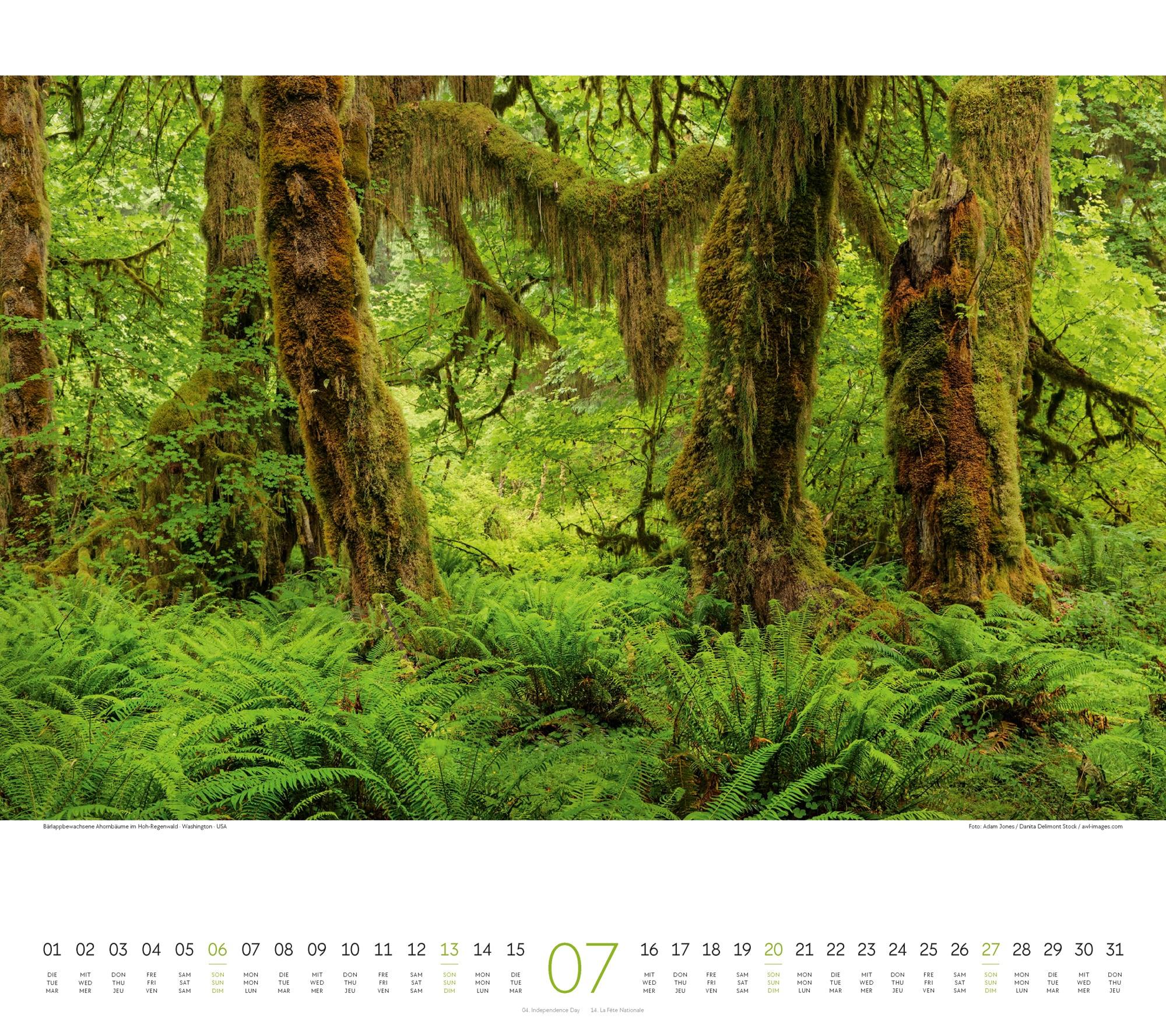 Ackermann Calendar Forest 2025 - Inside View 07