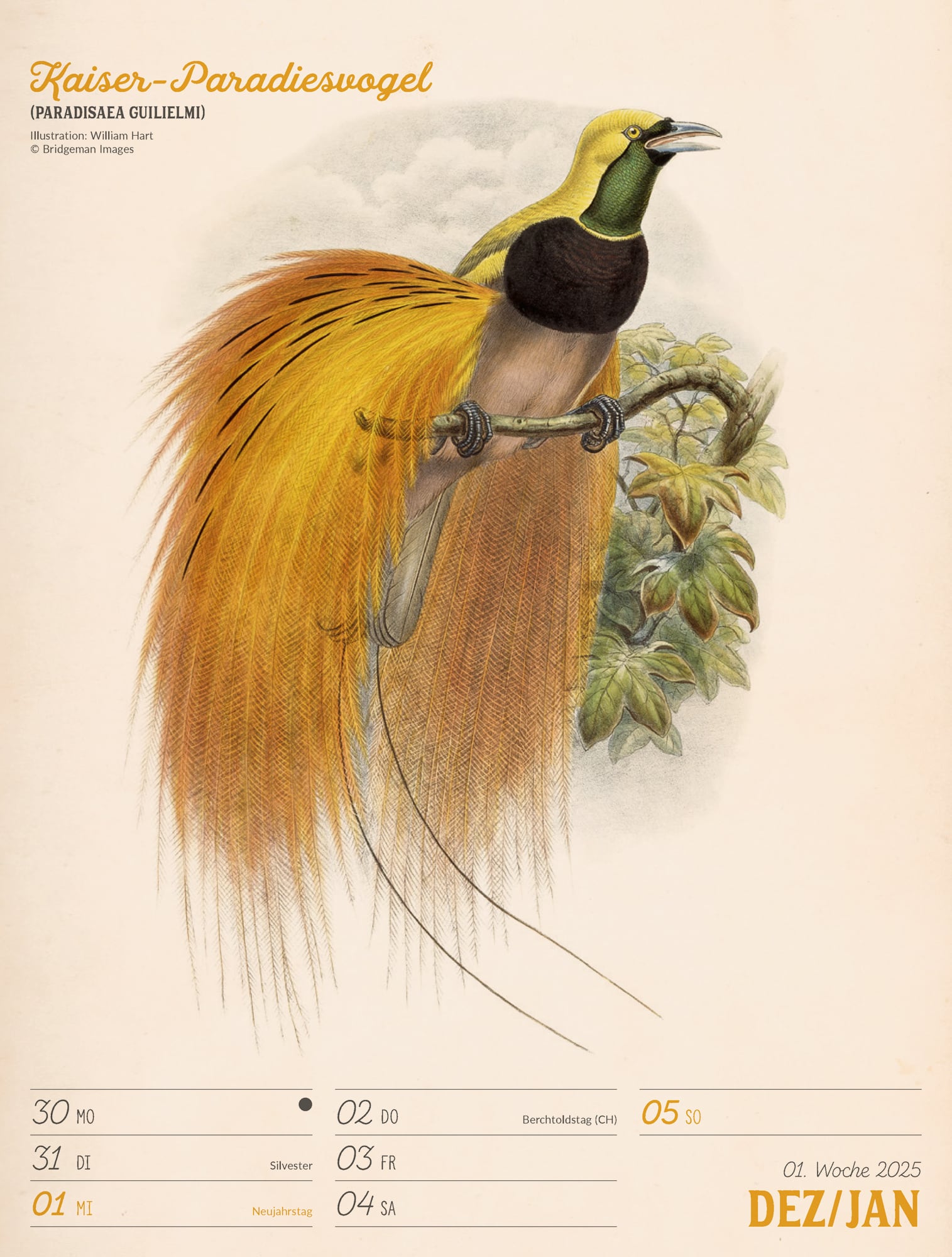 Ackermann Calendar The wonderful World of Birds 2025 - Weekly Planner - Inside View 01