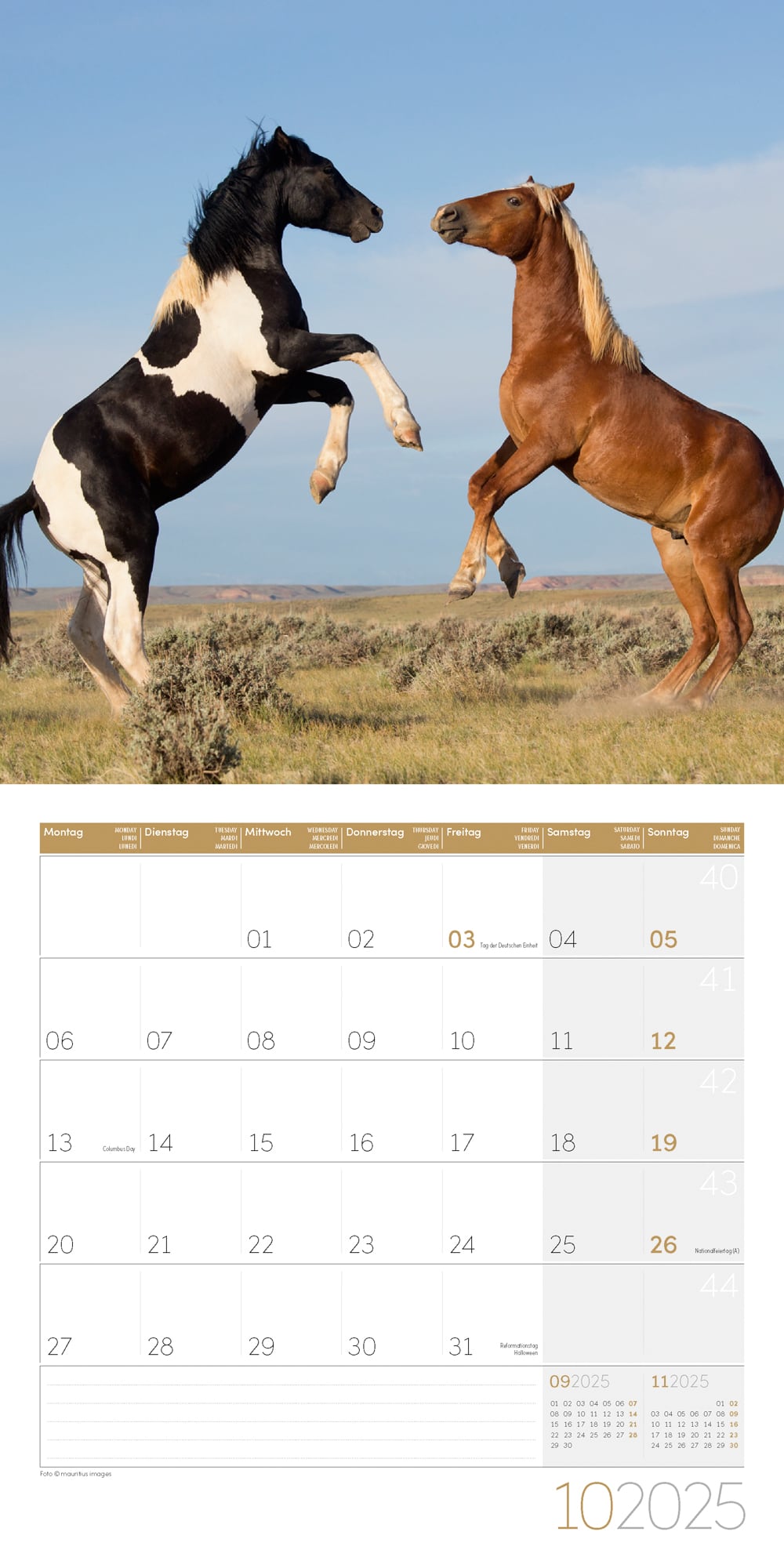 Art12 Collection Kalender Pferde 2025 - 30x30 - Innenansicht 10