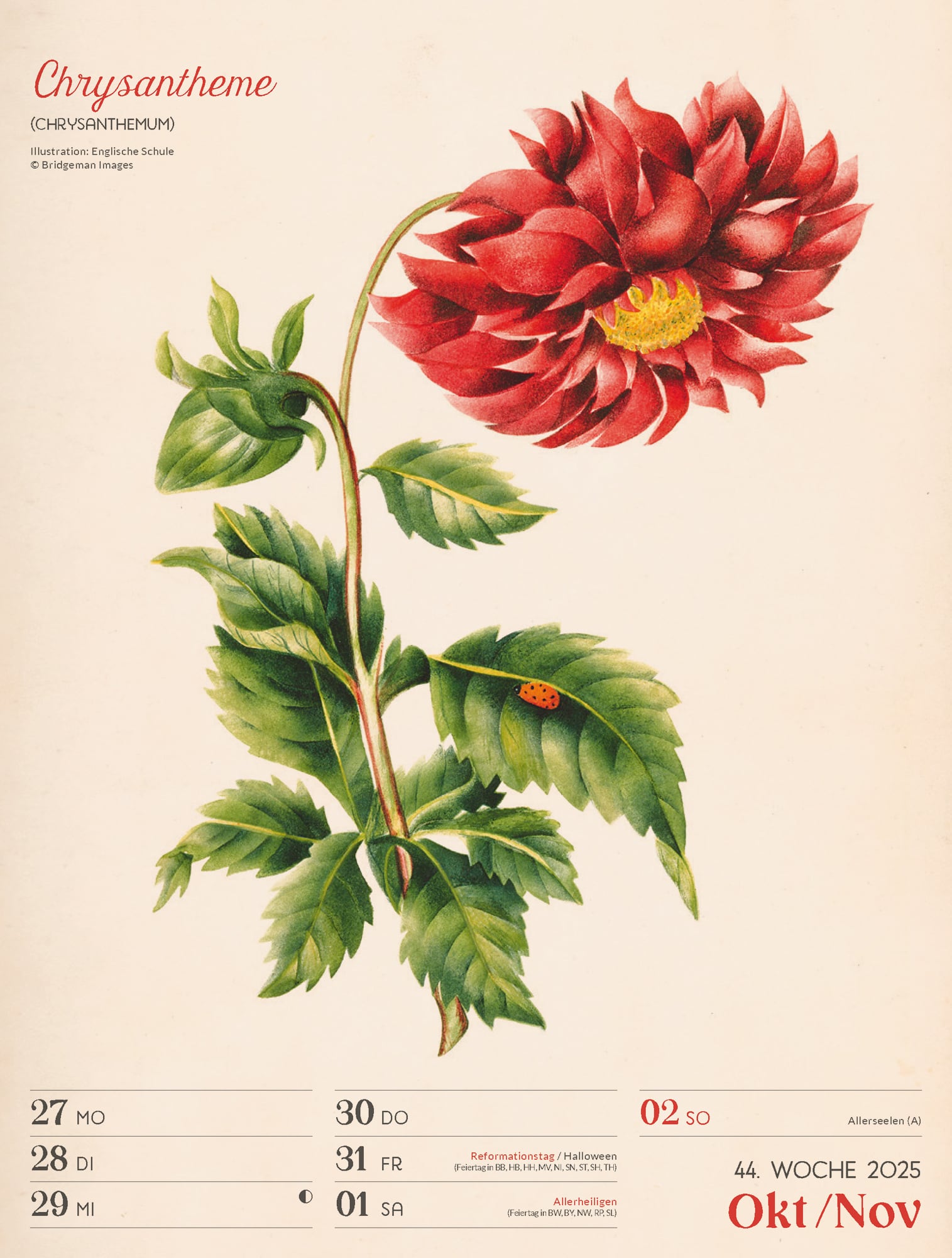 Ackermann Calendar Ars Floralis 2025 - Weekly Planner - Inside View 47