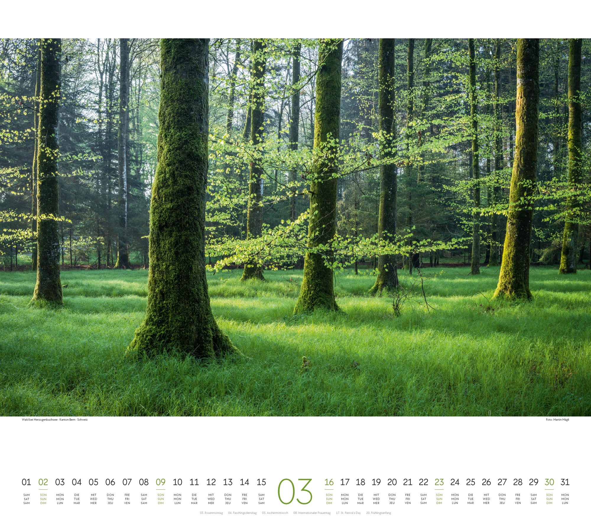 Ackermann Kalender Wald 2025 - Innenansicht 03