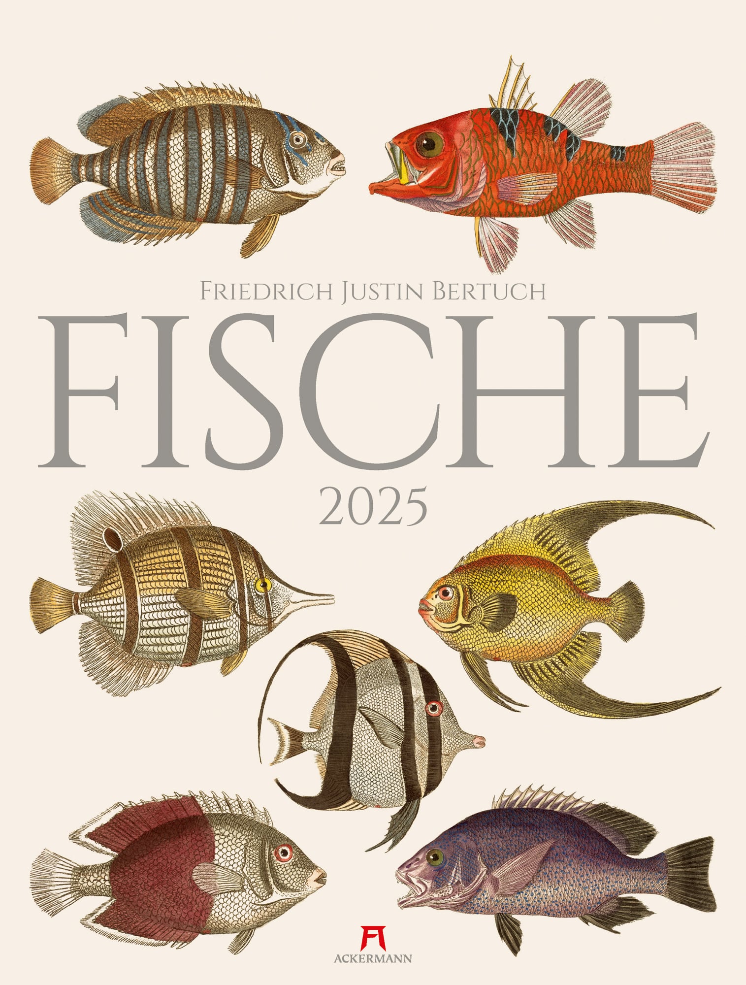 Ackermann Kalender Fische 2025 - Titelblatt