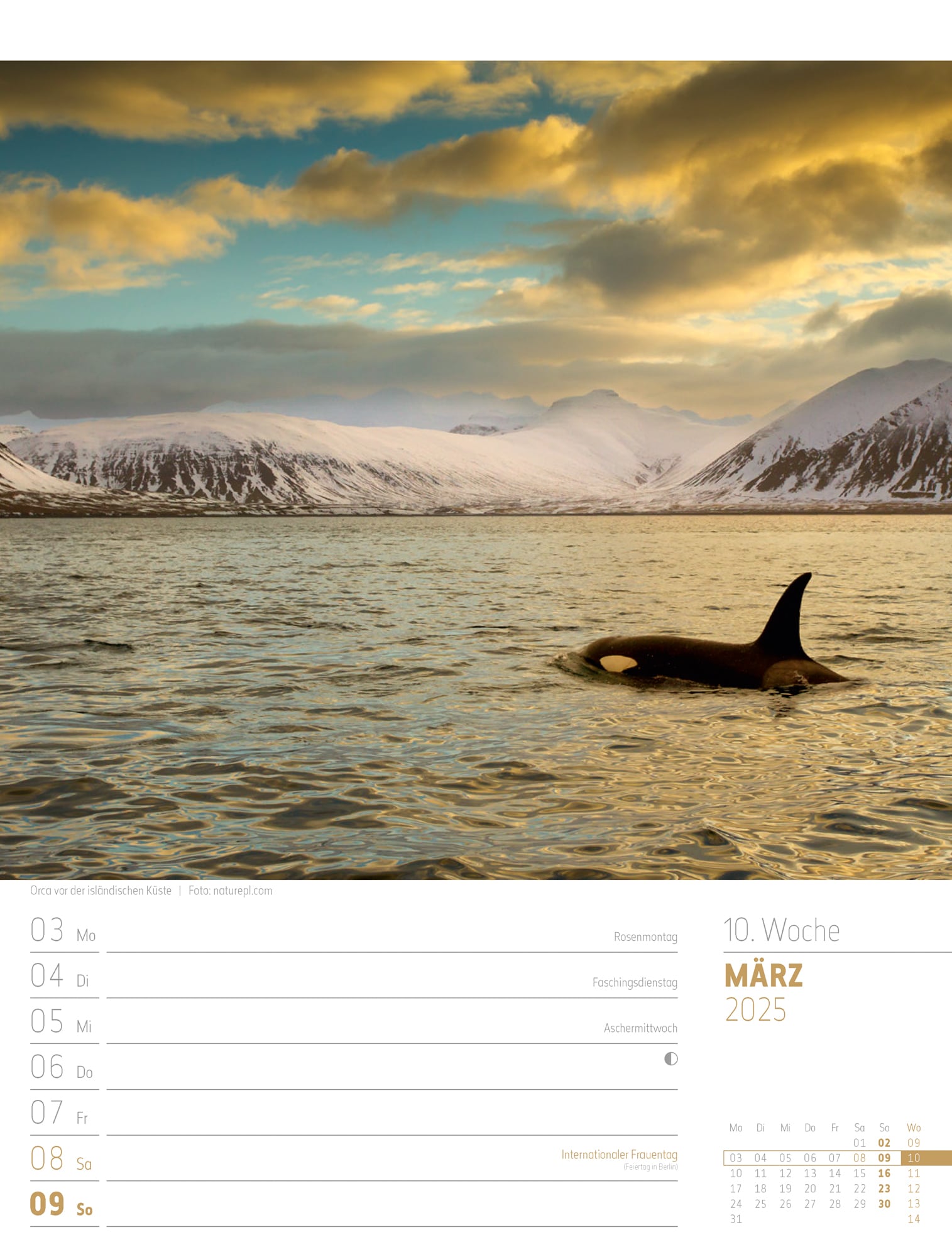 Ackermann Calendar Iceland 2025 - Weekly Planner - Inside View 13