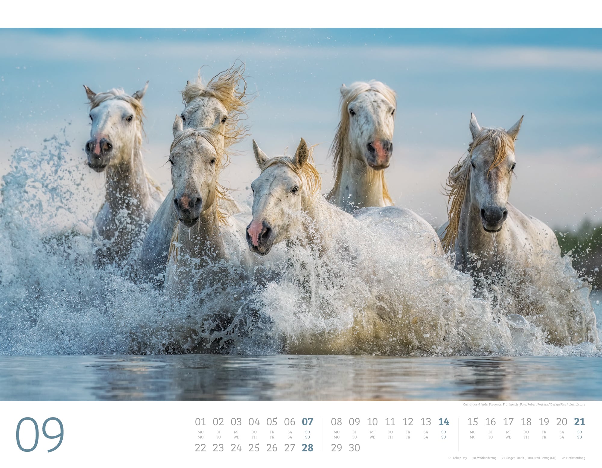Ackermann Calendar Wild Horses 2025 - Inside View 09