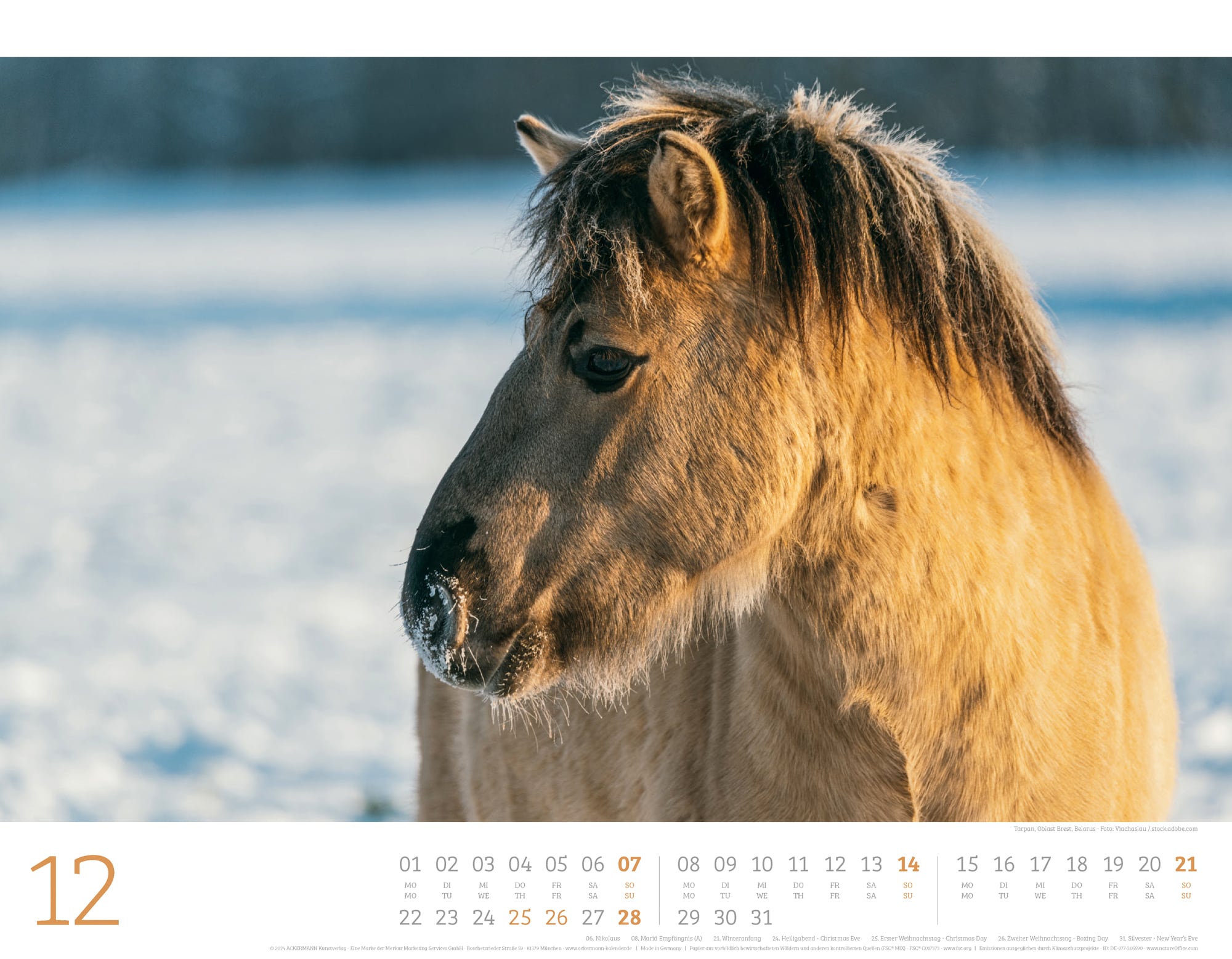 Ackermann Calendar Wild Horses 2025 - Inside View 12