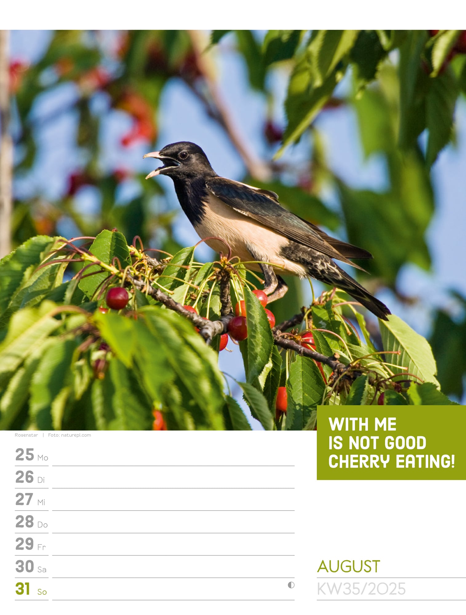 Ackermann Calendar Animals 2025 - Weekly Planner - Inside View 38