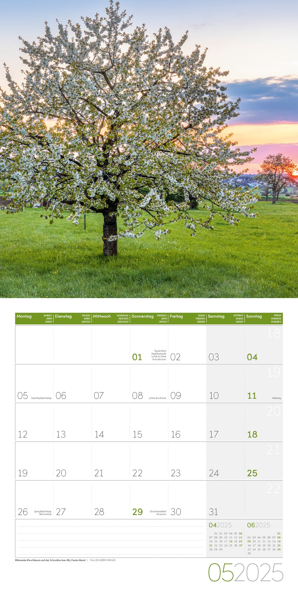 Art12 Collection Kalender Bäume 2025 - 30x30 - Innenansicht 05