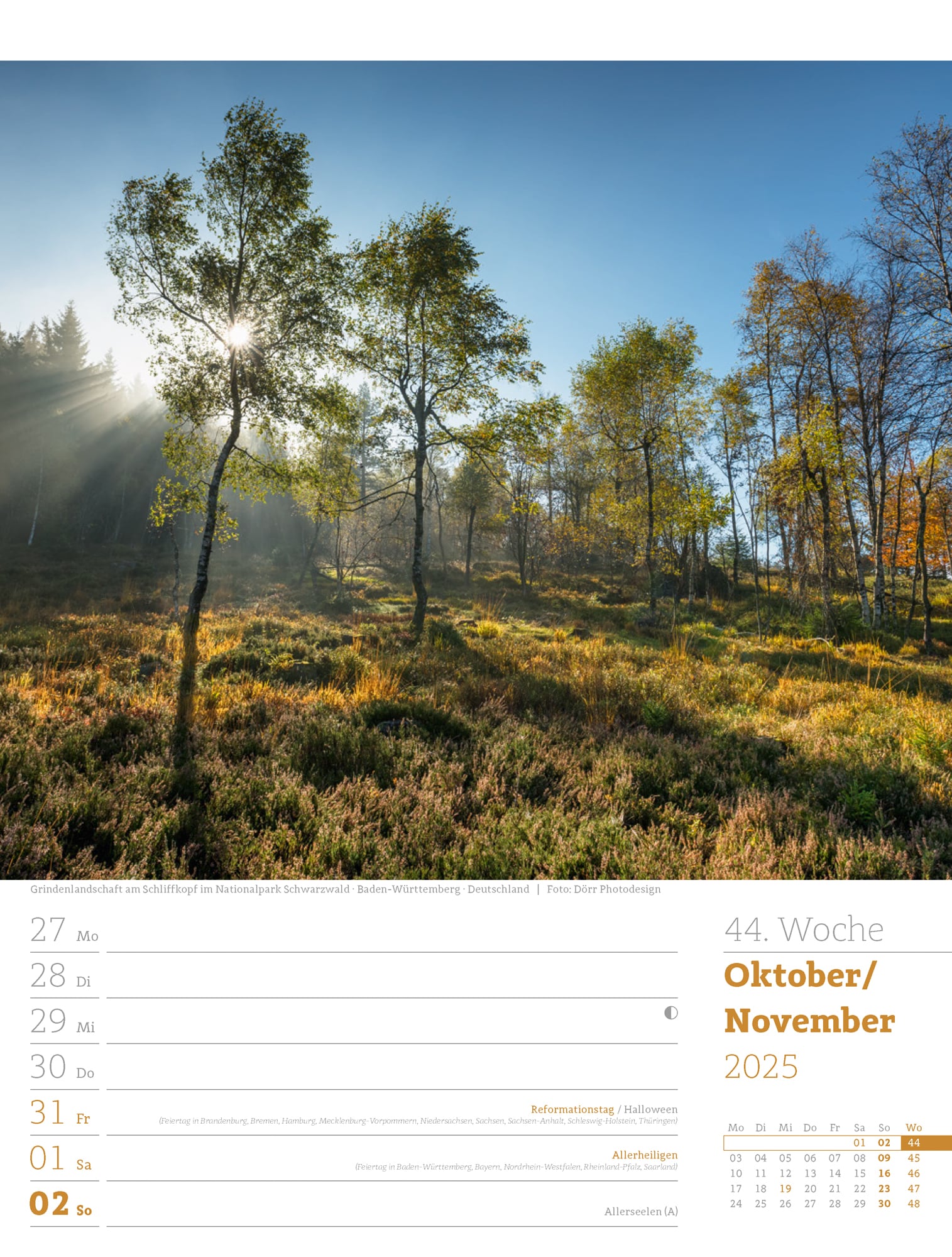 Ackermann Calendar Our Forest 2025 - Weekly Planner - Inside View 47
