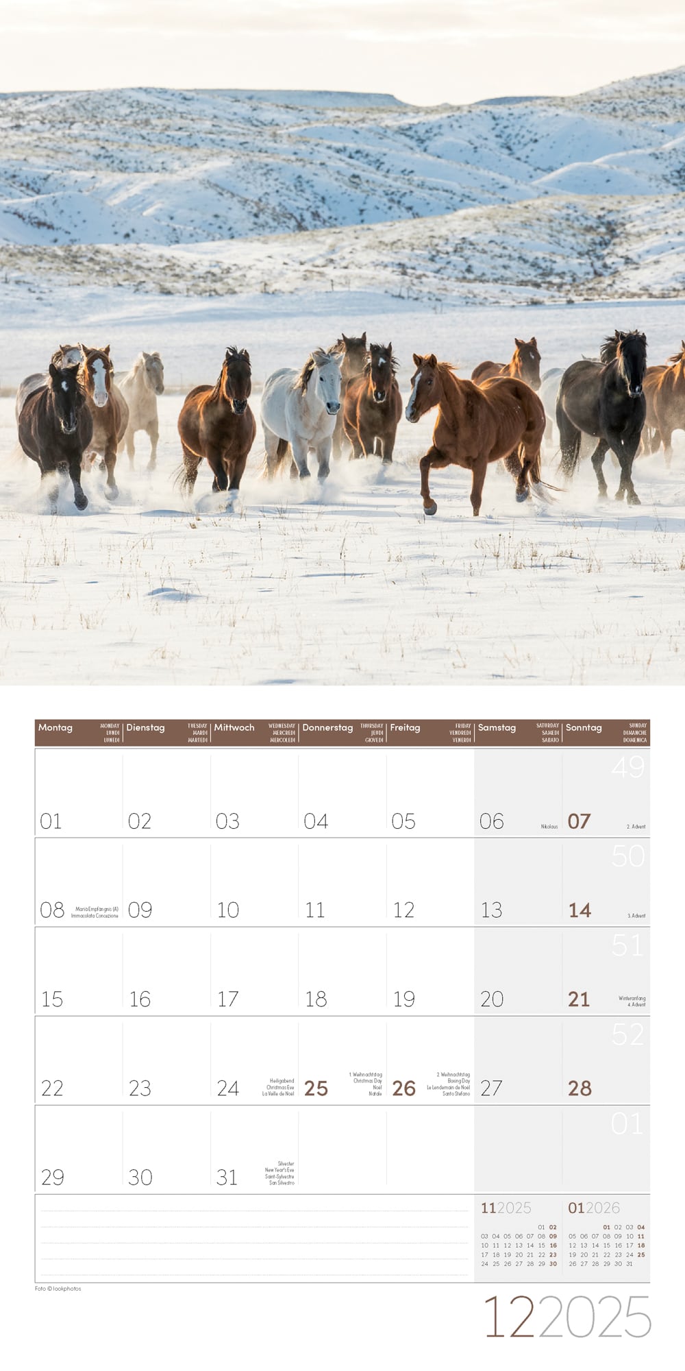 Art12 Collection Kalender Pferde 2025 - 30x30 - Innenansicht 12