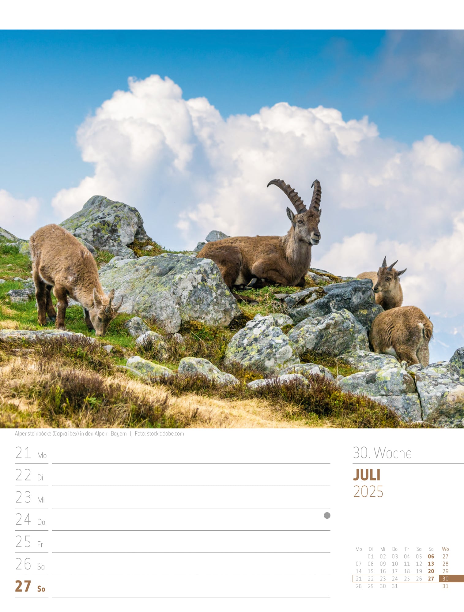 Ackermann Calendar Discover Germany 2025 - Weekly Planner - Inside View 33