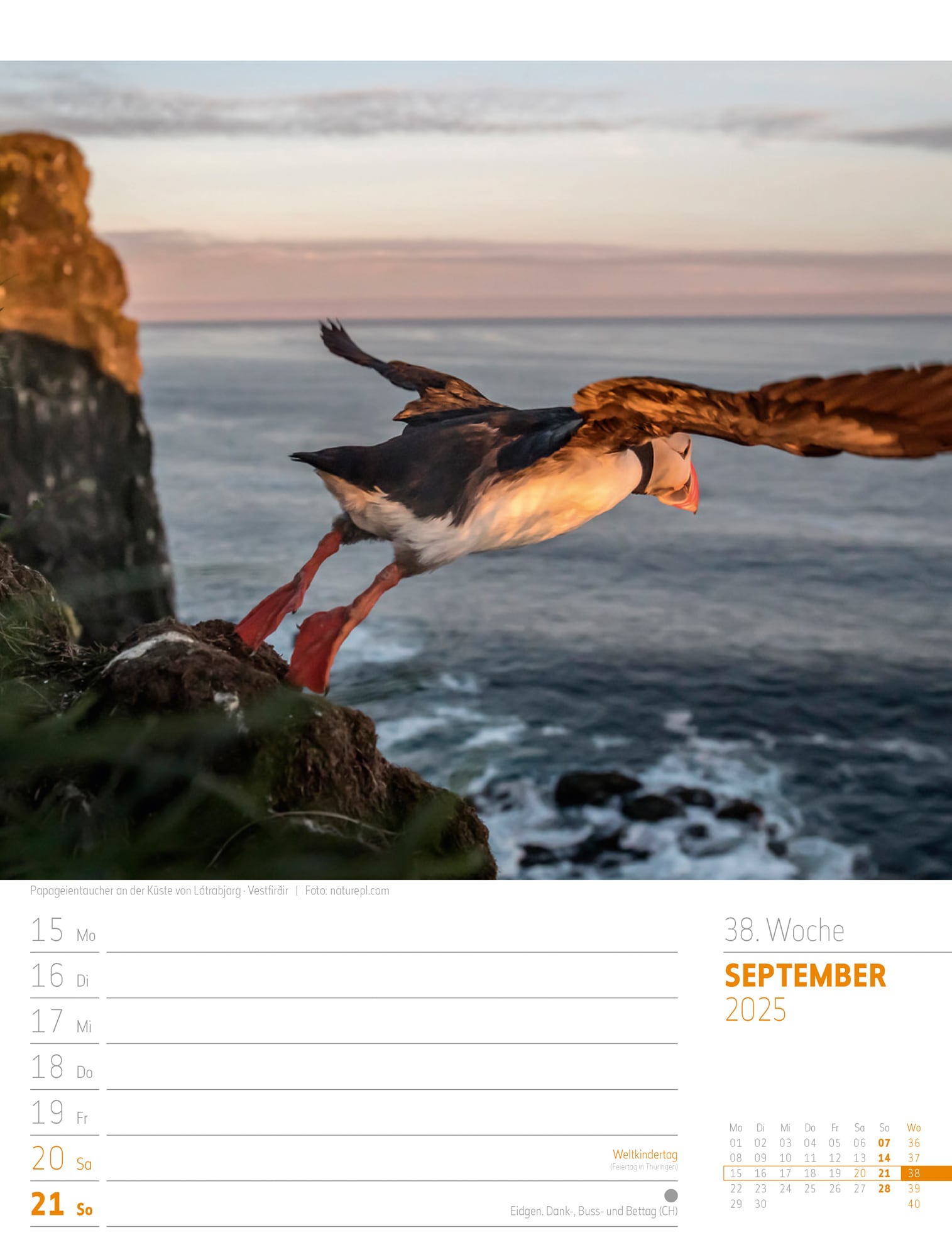 Ackermann Calendar Iceland 2025 - Weekly Planner - Inside View 41