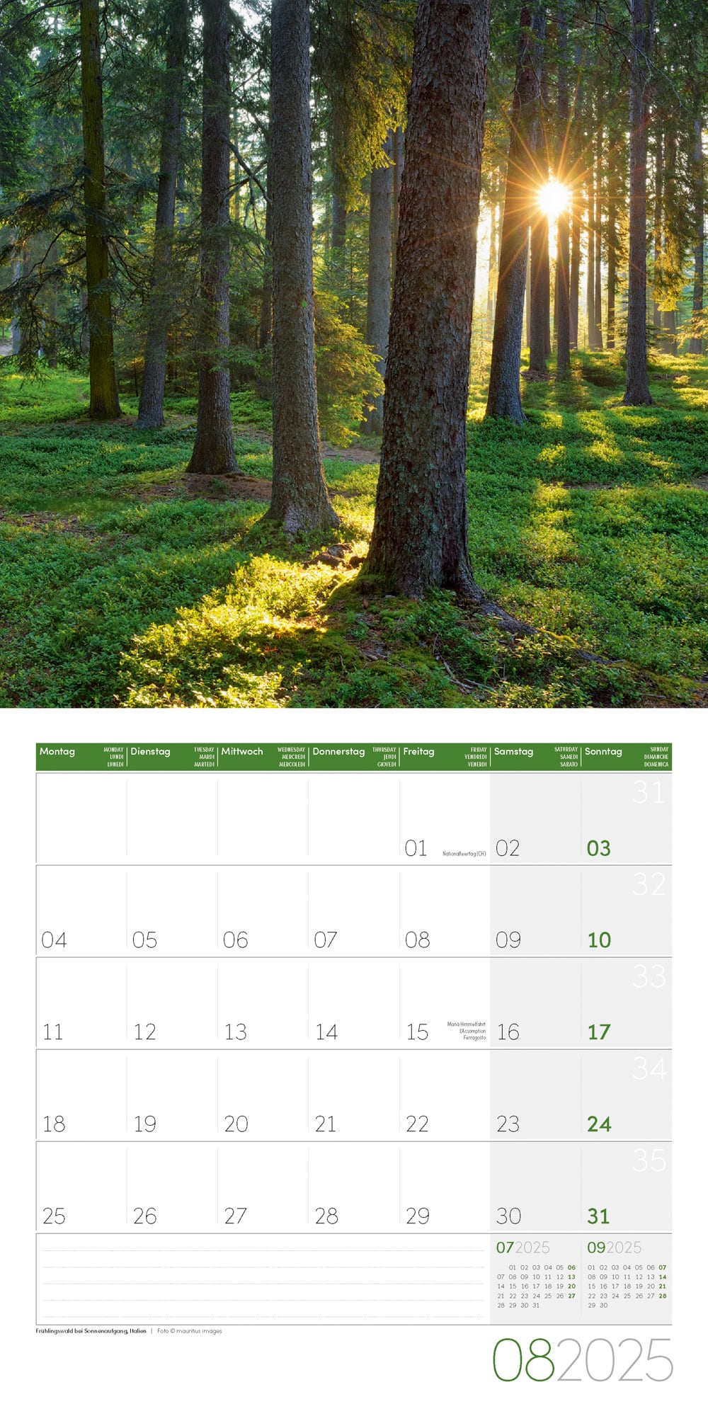 Art12 Collection Kalender Zauber des Waldes 2025 - 30x30 - Innenansicht 08