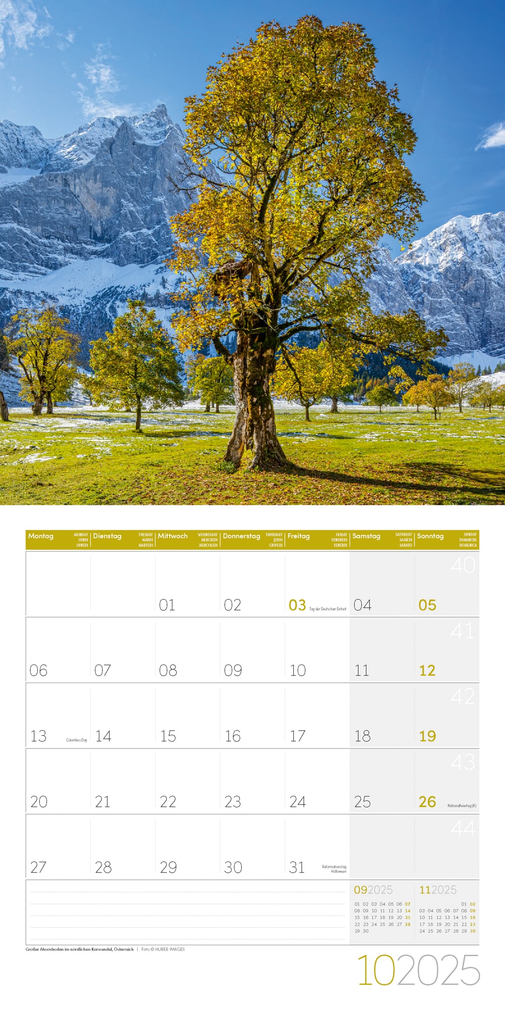 Art12 Collection Kalender Bäume 2025 - 30x30 - Innenansicht 10