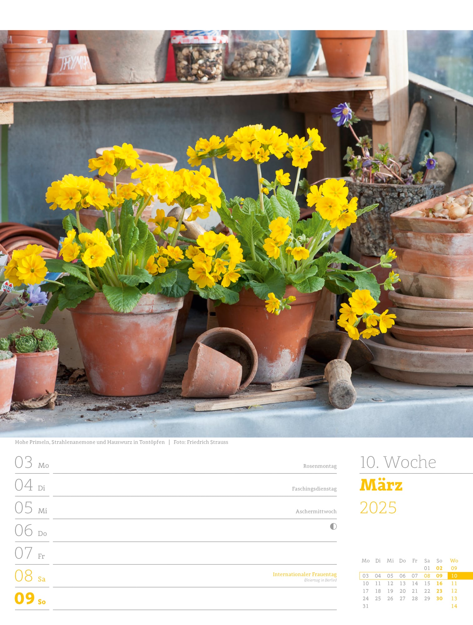 Ackermann Calendar Beautiful Gardens 2025 - Weekly Planner - Inside View 13