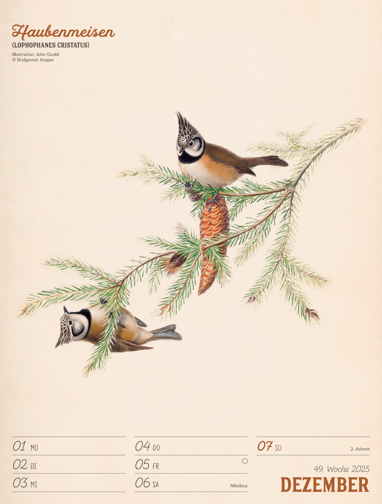 Ackermann Calendar The wonderful World of Birds 2025 - Weekly Planner - Inside View 52