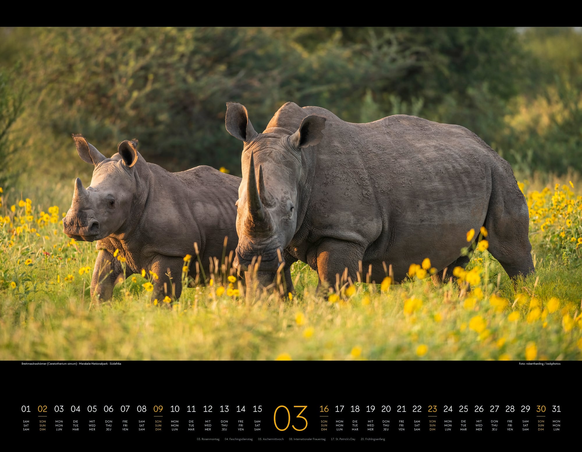 Ackermann Calendar Wild Africa 2025 - Inside View 03