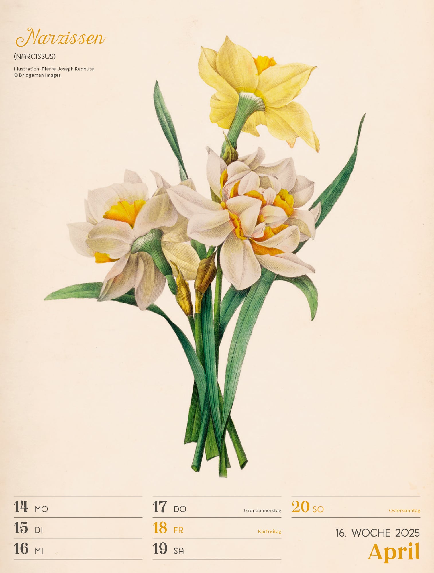 Ackermann Calendar Ars Floralis 2025 - Weekly Planner - Inside View 19