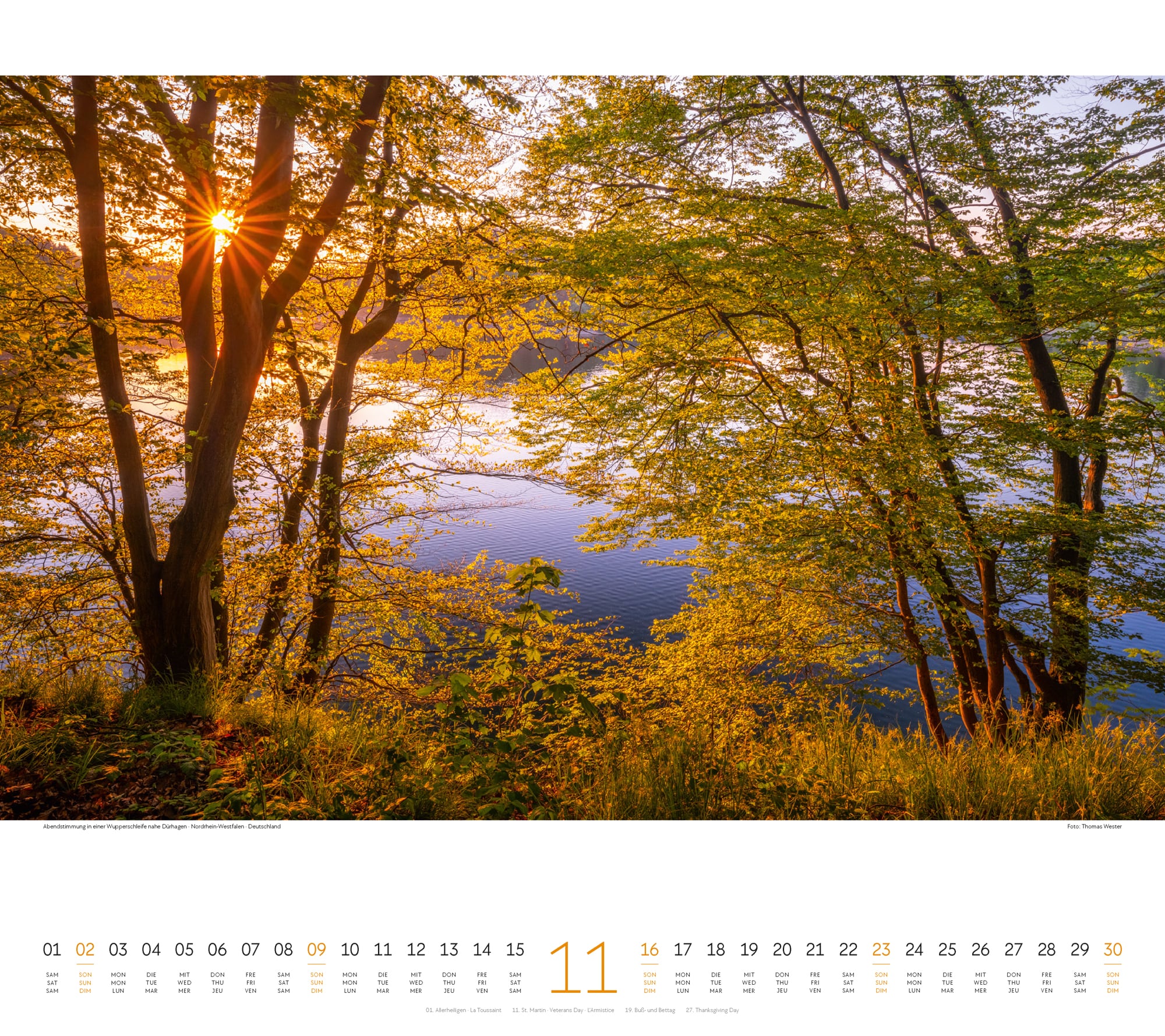 Ackermann Calendar Forest 2025 - Inside View 11