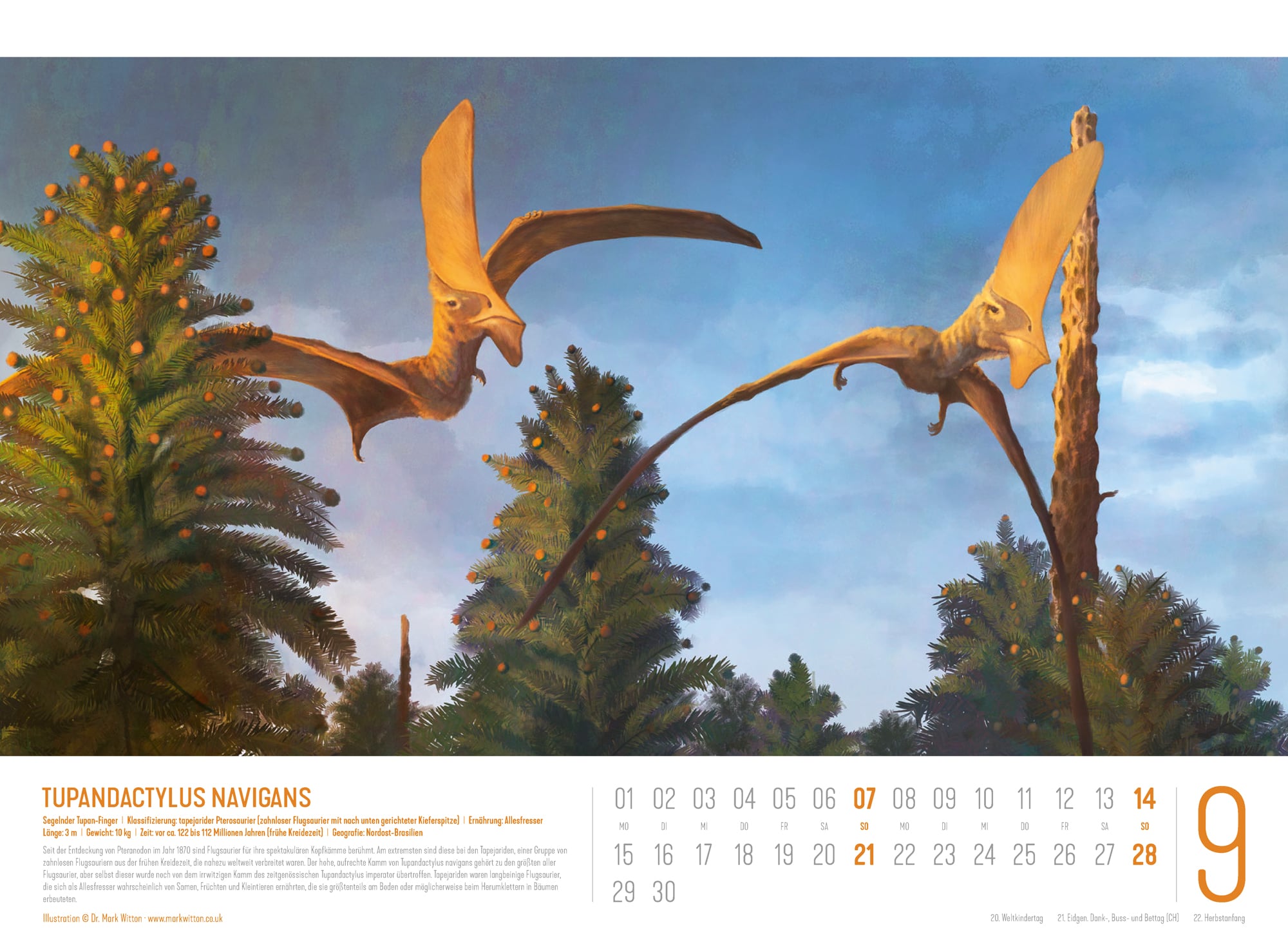 Ackermann Kalender Dinosaurier 2025 - Innenansicht 09
