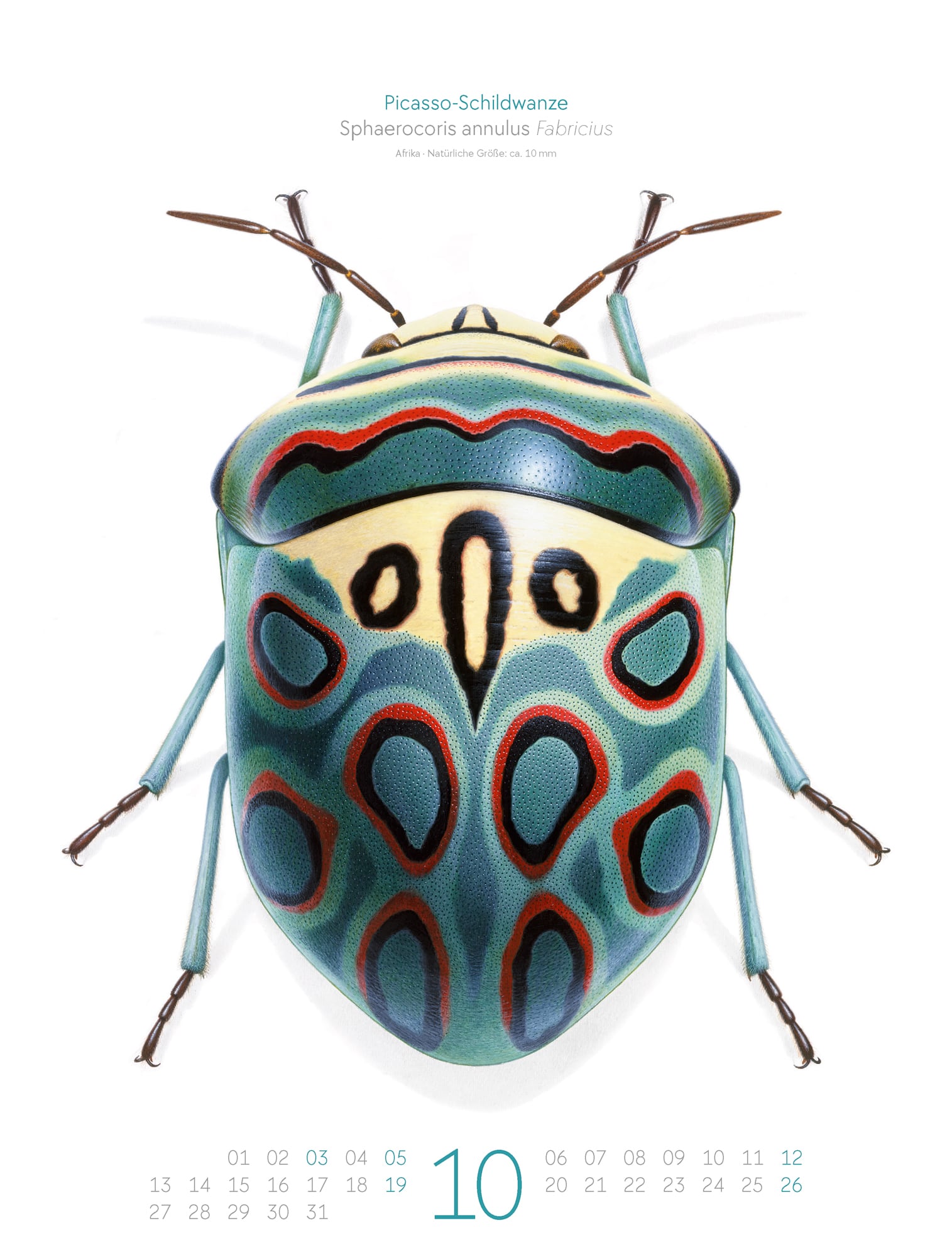 Ackermann Calendar Bugs Life 2025  - Inside View 10