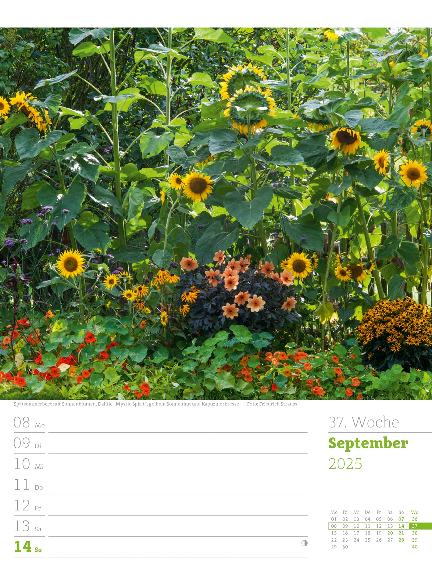 Ackermann Calendar Beautiful Gardens 2025 - Weekly Planner - Inside View 40