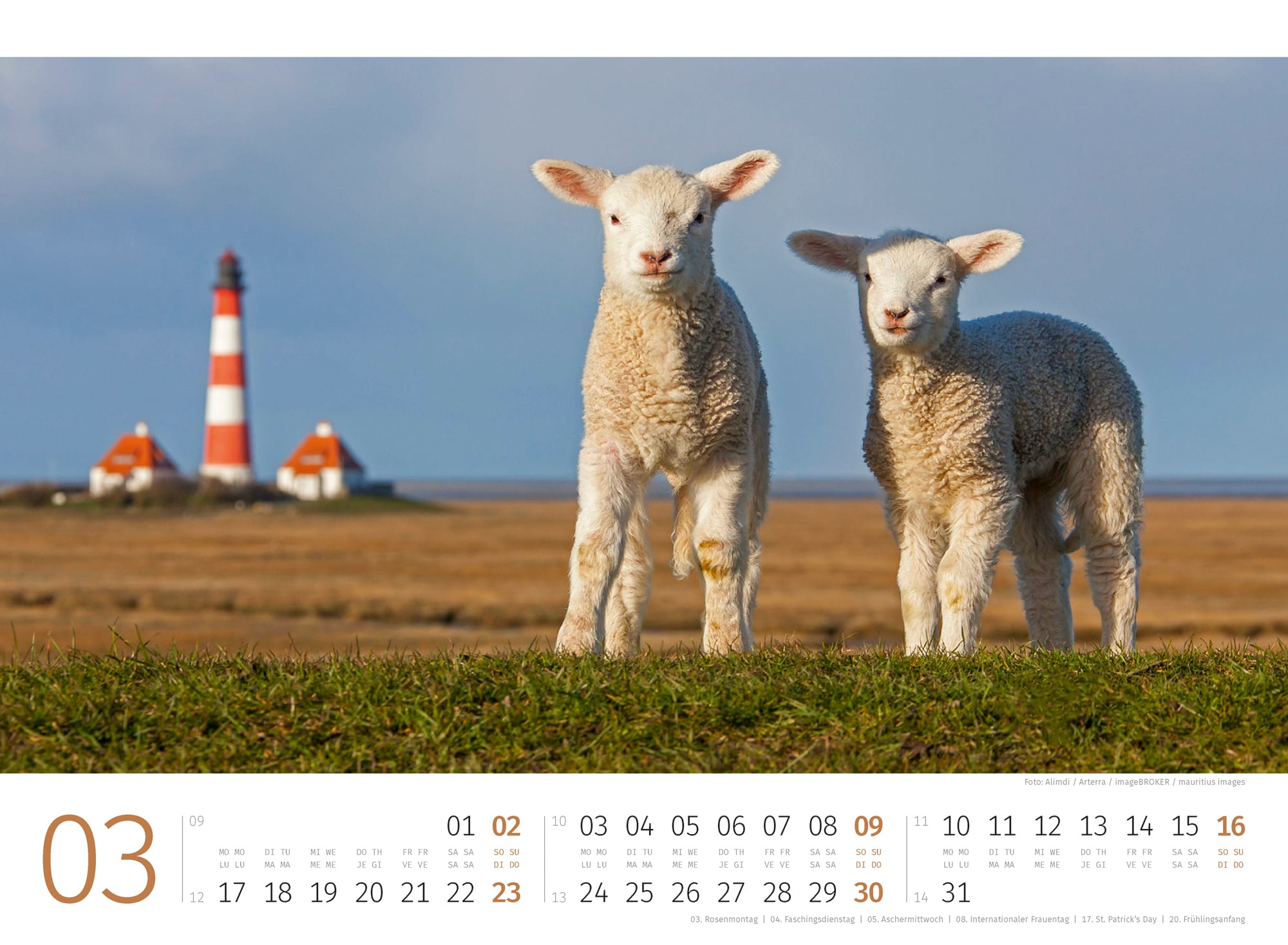 Ackermann Calendar Sheep 2025 - Inside View 03