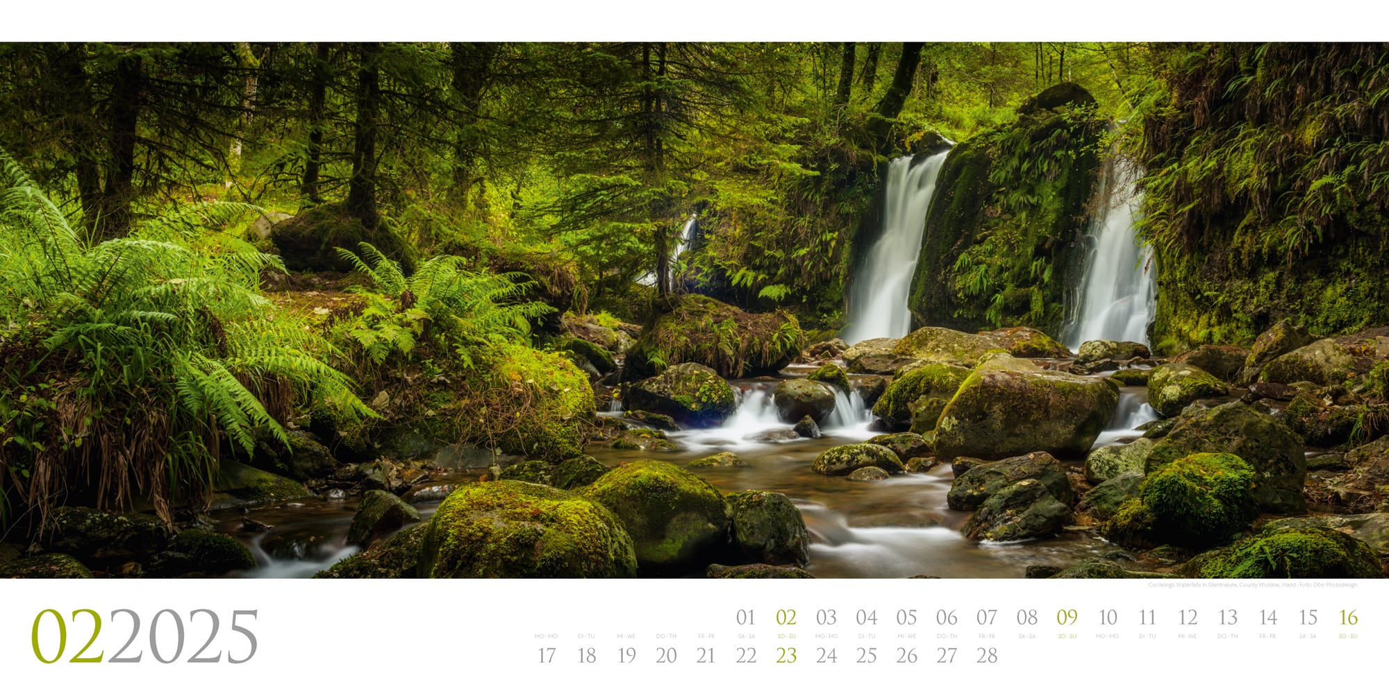 Ackermann Calendar Wild Forests 2025 - Inside View 02