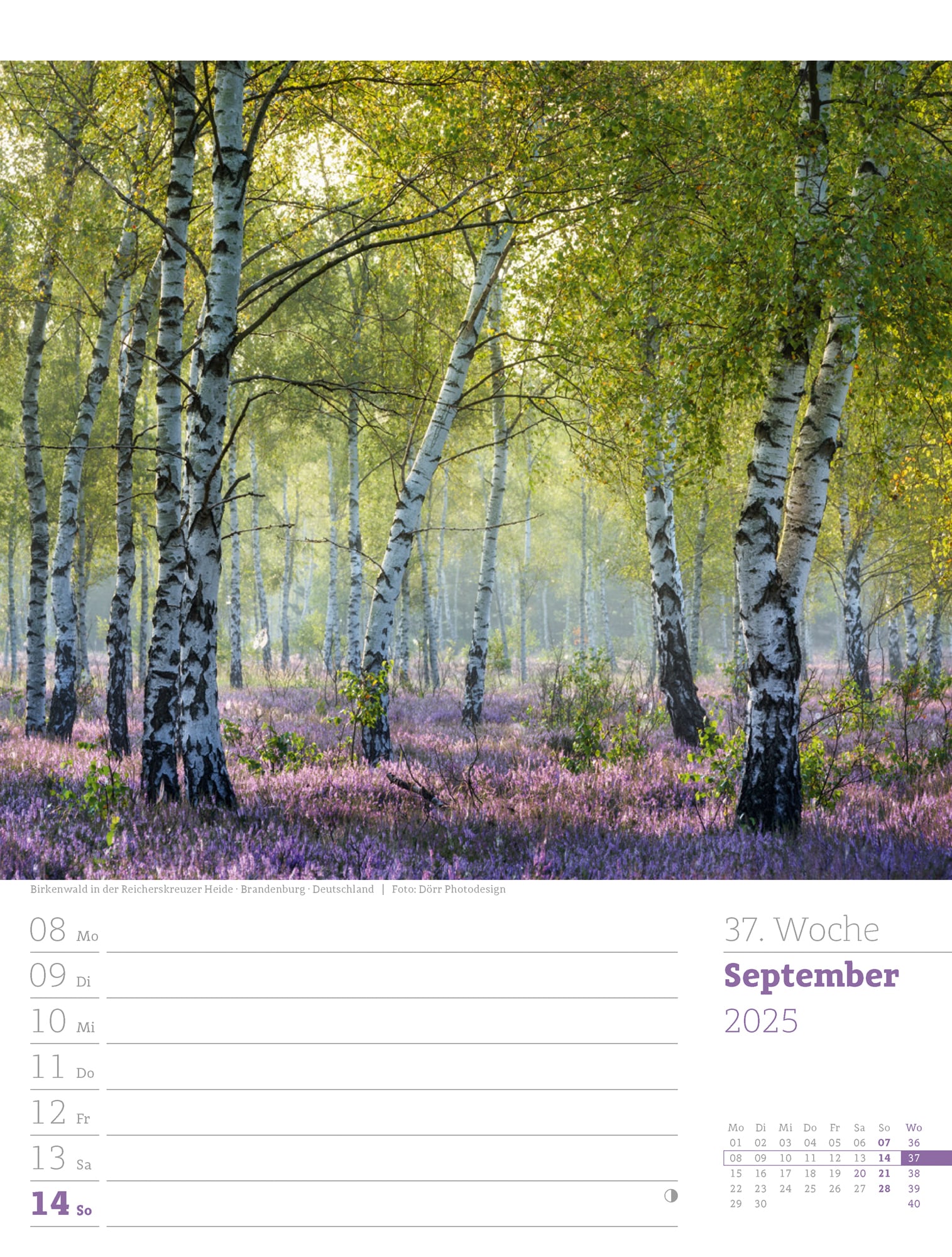Ackermann Calendar Our Forest 2025 - Weekly Planner - Inside View 40