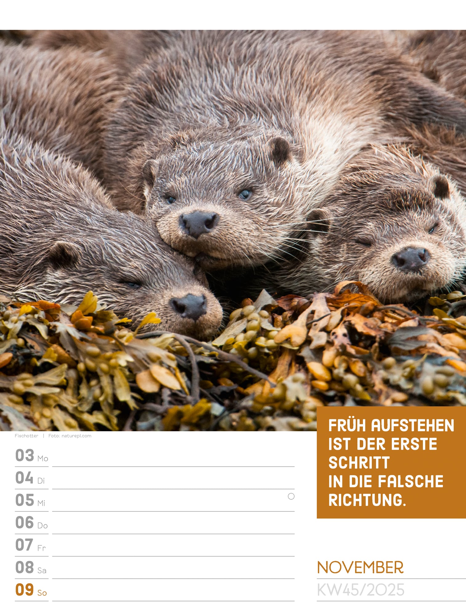 Ackermann Calendar Animals 2025 - Weekly Planner - Inside View 48