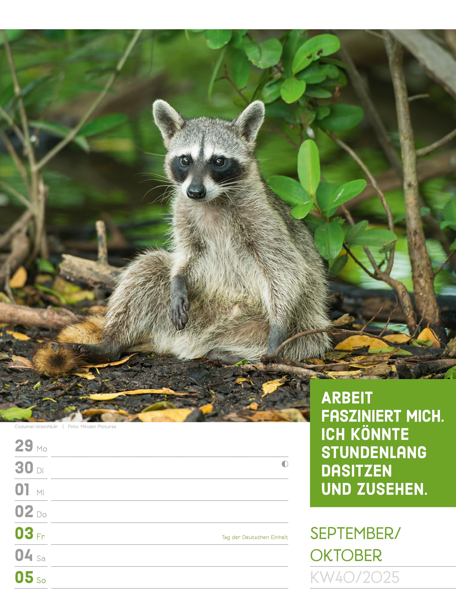 Ackermann Calendar Animals 2025 - Weekly Planner - Inside View 43