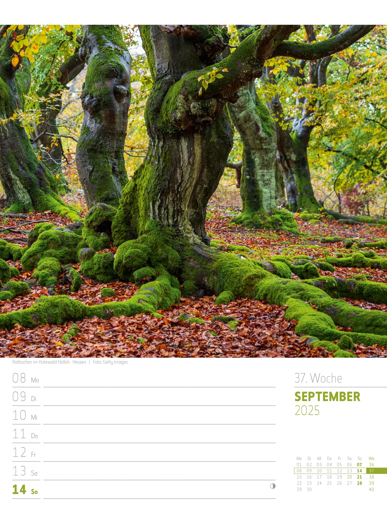 Ackermann Calendar Discover Germany 2025 - Weekly Planner - Inside View 40