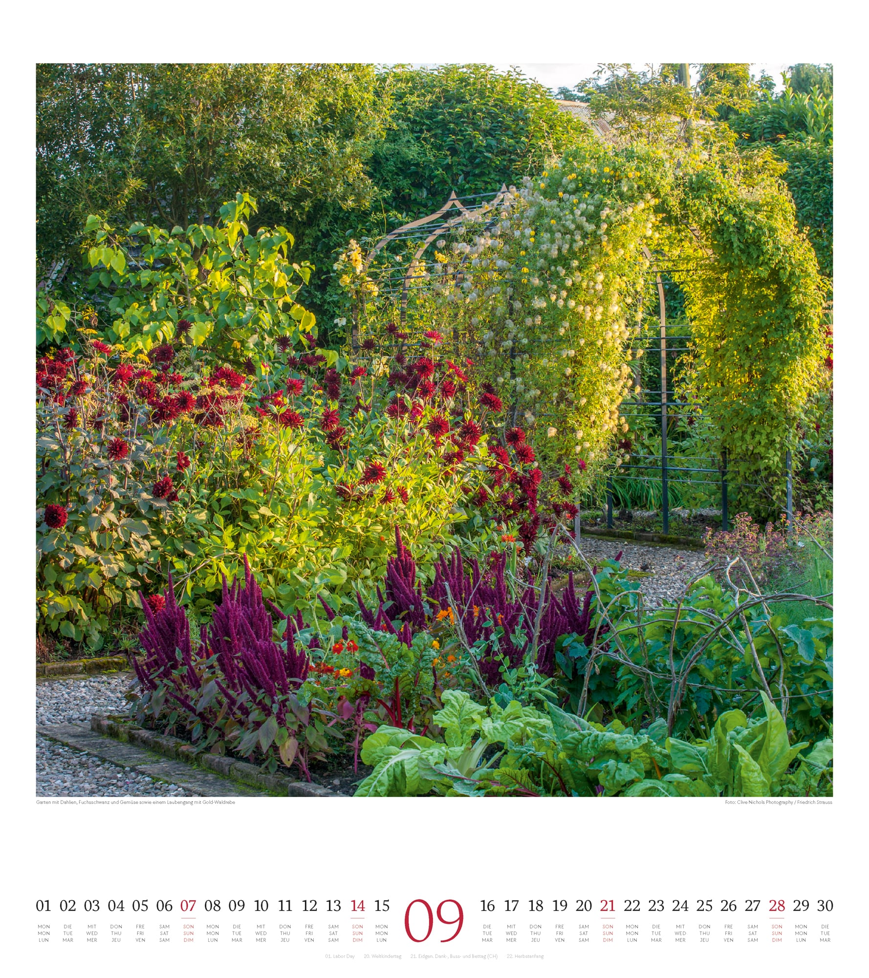 Ackermann Kalender Paradiesische Gärten 2025 - Innenansicht 09