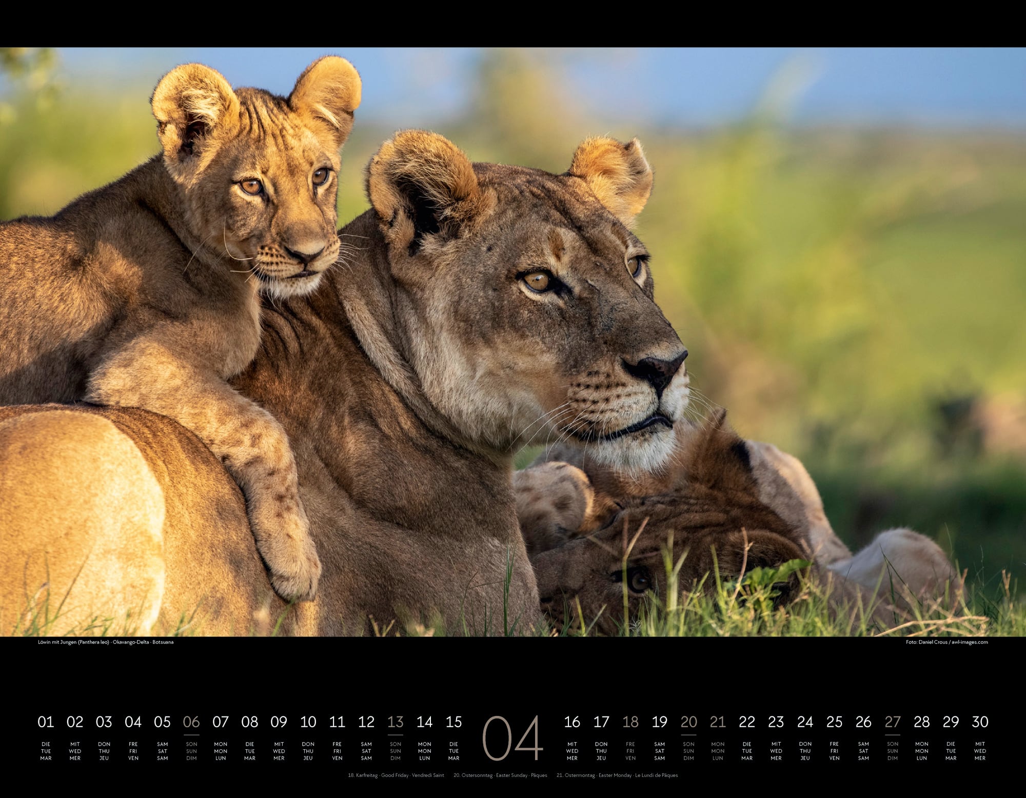Ackermann Calendar Wild Africa 2025 - Inside View 04