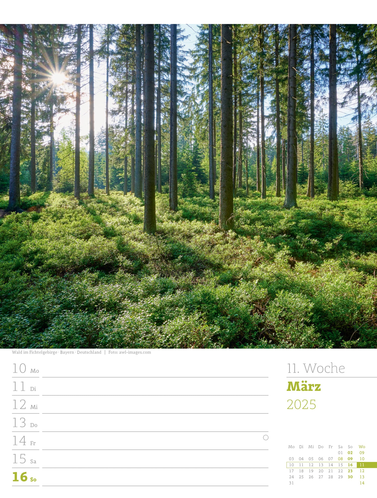 Ackermann Calendar Our Forest 2025 - Weekly Planner - Inside View 14