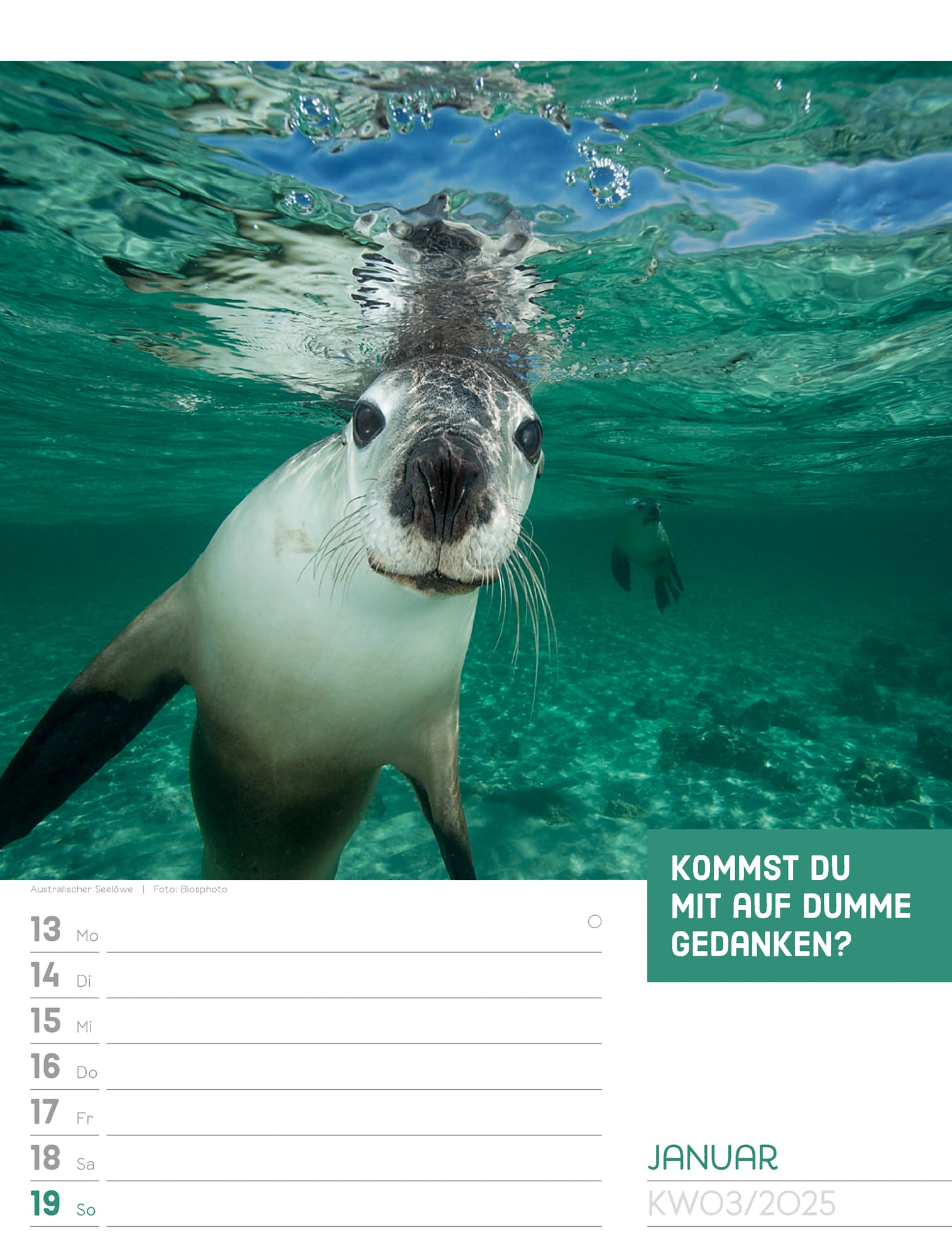 Ackermann Calendar Animals 2025 - Weekly Planner - Inside View 05