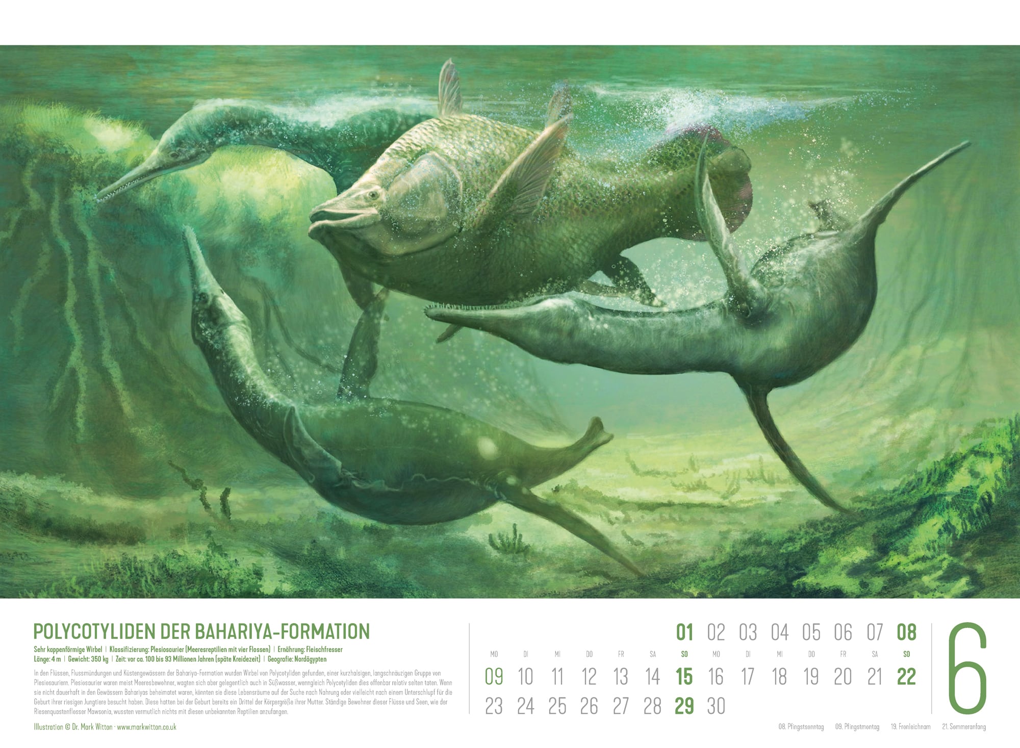 Ackermann Kalender Dinosaurier 2025 - Innenansicht 06