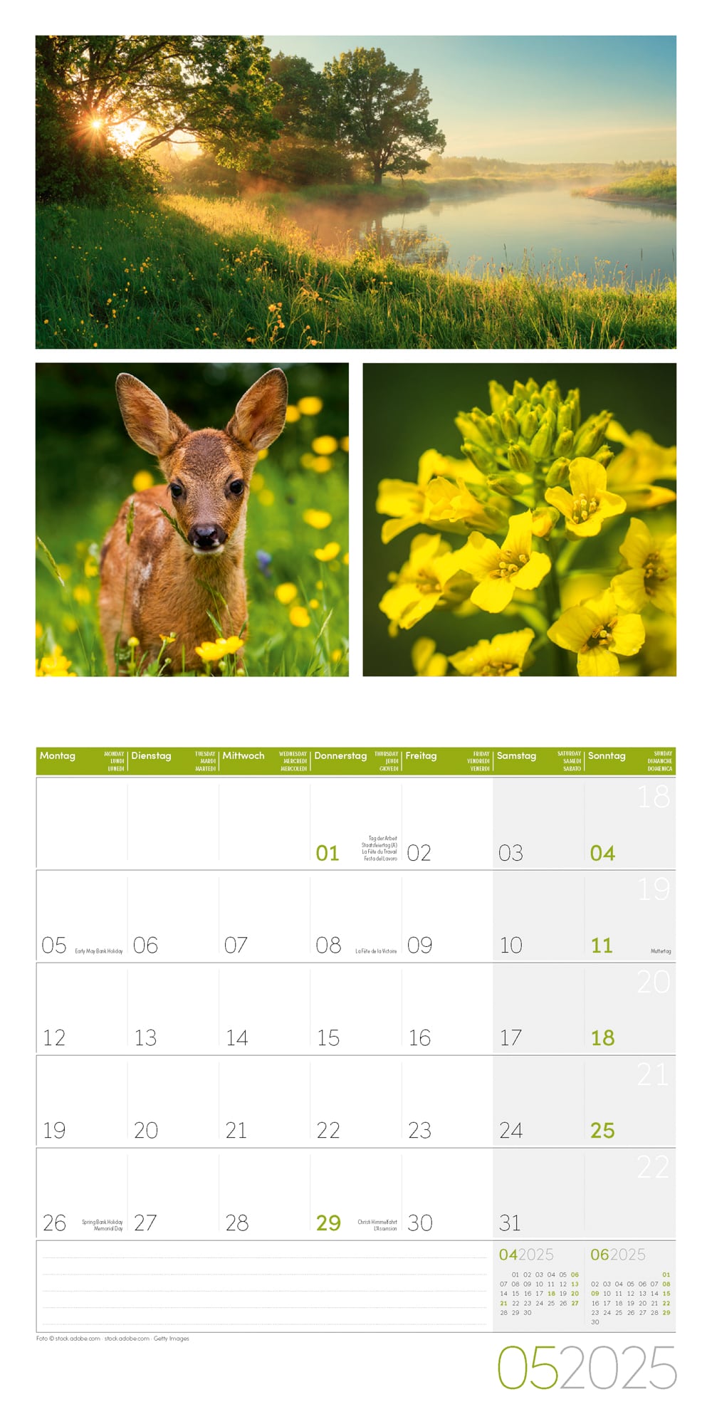 Art12 Collection Kalender Colours of Nature 2025 - 30x30 - Innenansicht 05