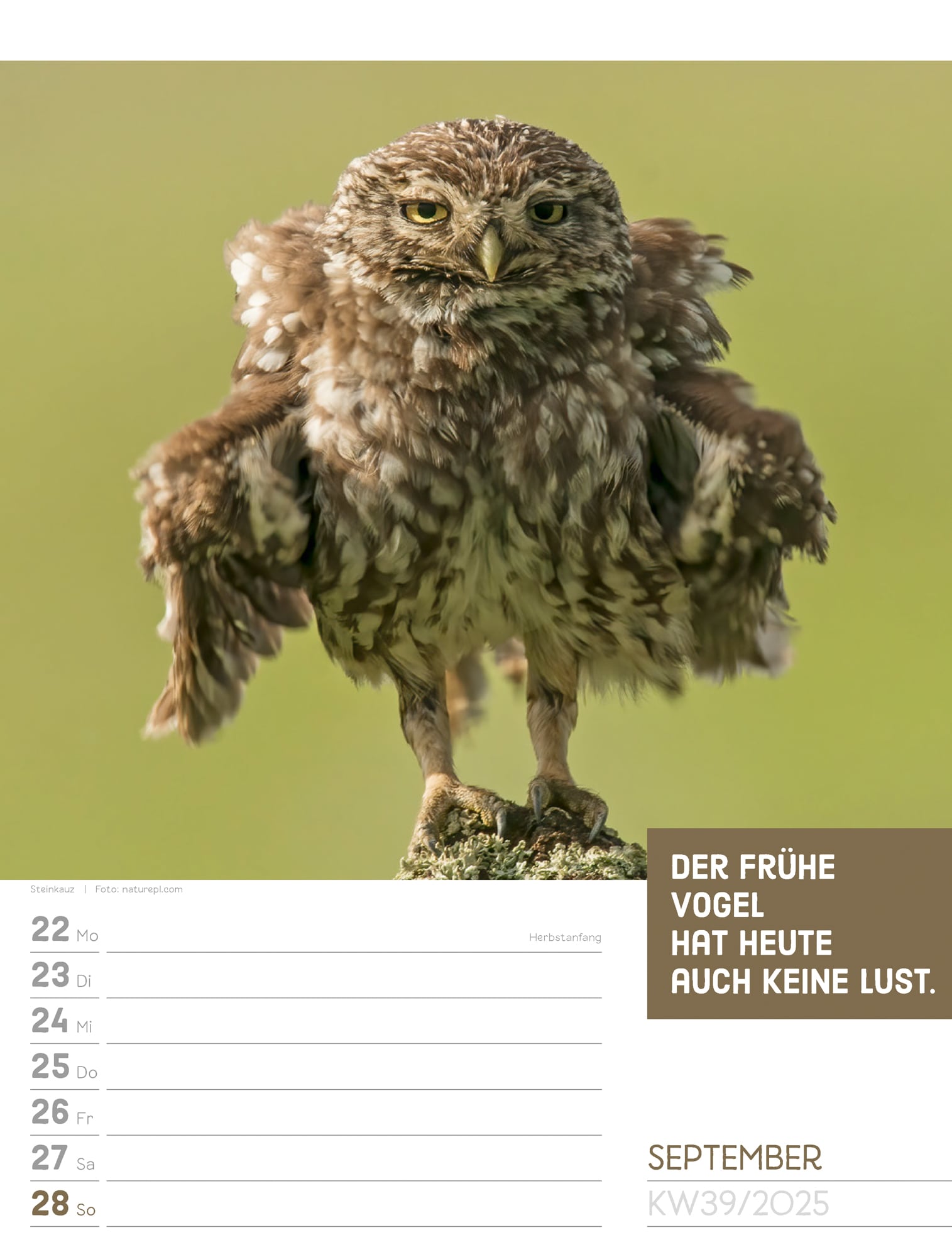 Ackermann Calendar Animals 2025 - Weekly Planner - Inside View 42