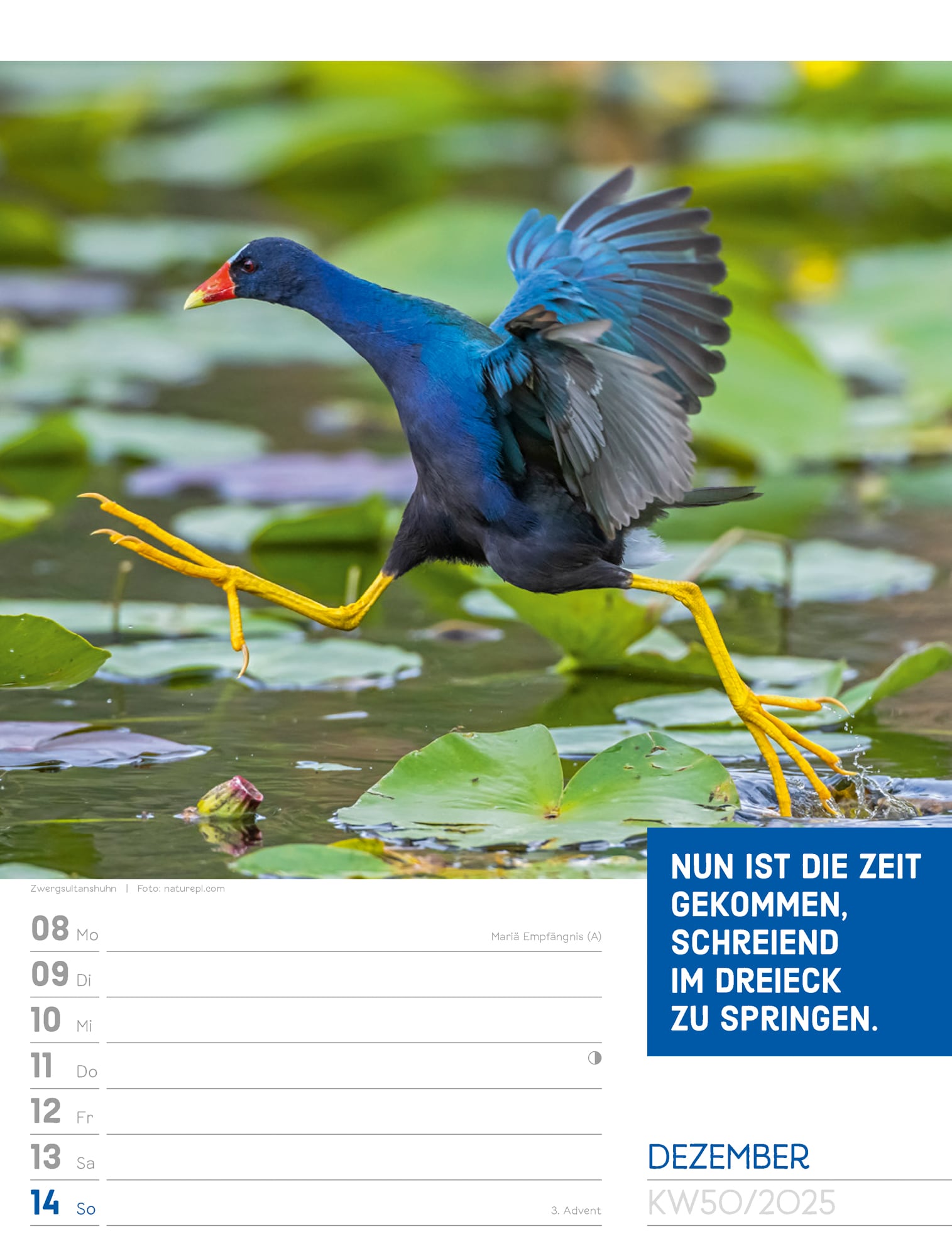 Ackermann Calendar Animals 2025 - Weekly Planner - Inside View 53