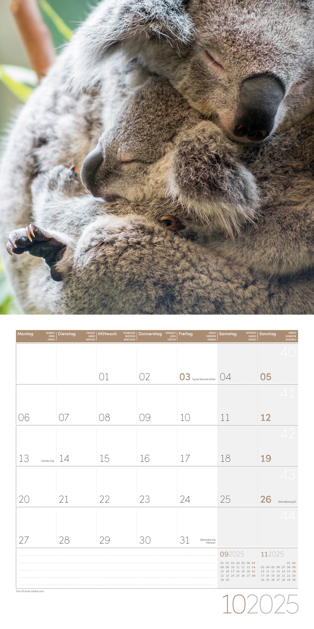 Art12 Collection Kalender Koalas 2025 - 30x30 - Innenansicht 10