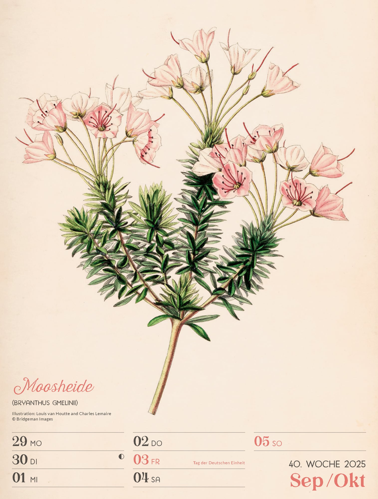 Ackermann Calendar Ars Floralis 2025 - Weekly Planner - Inside View 43