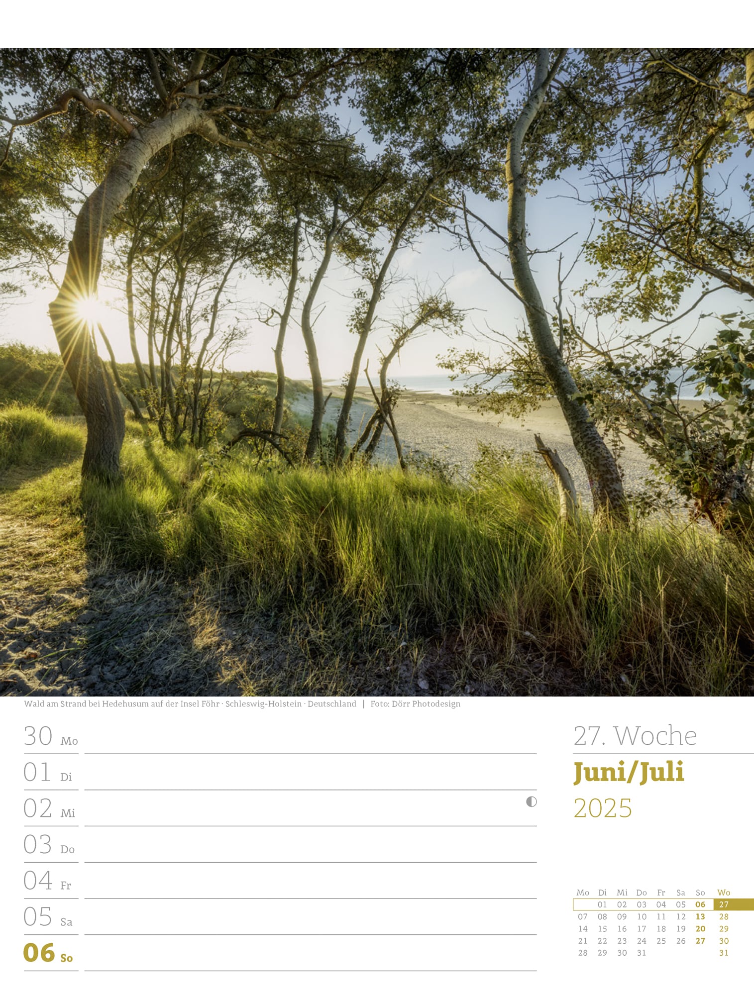 Ackermann Calendar Our Forest 2025 - Weekly Planner - Inside View 30