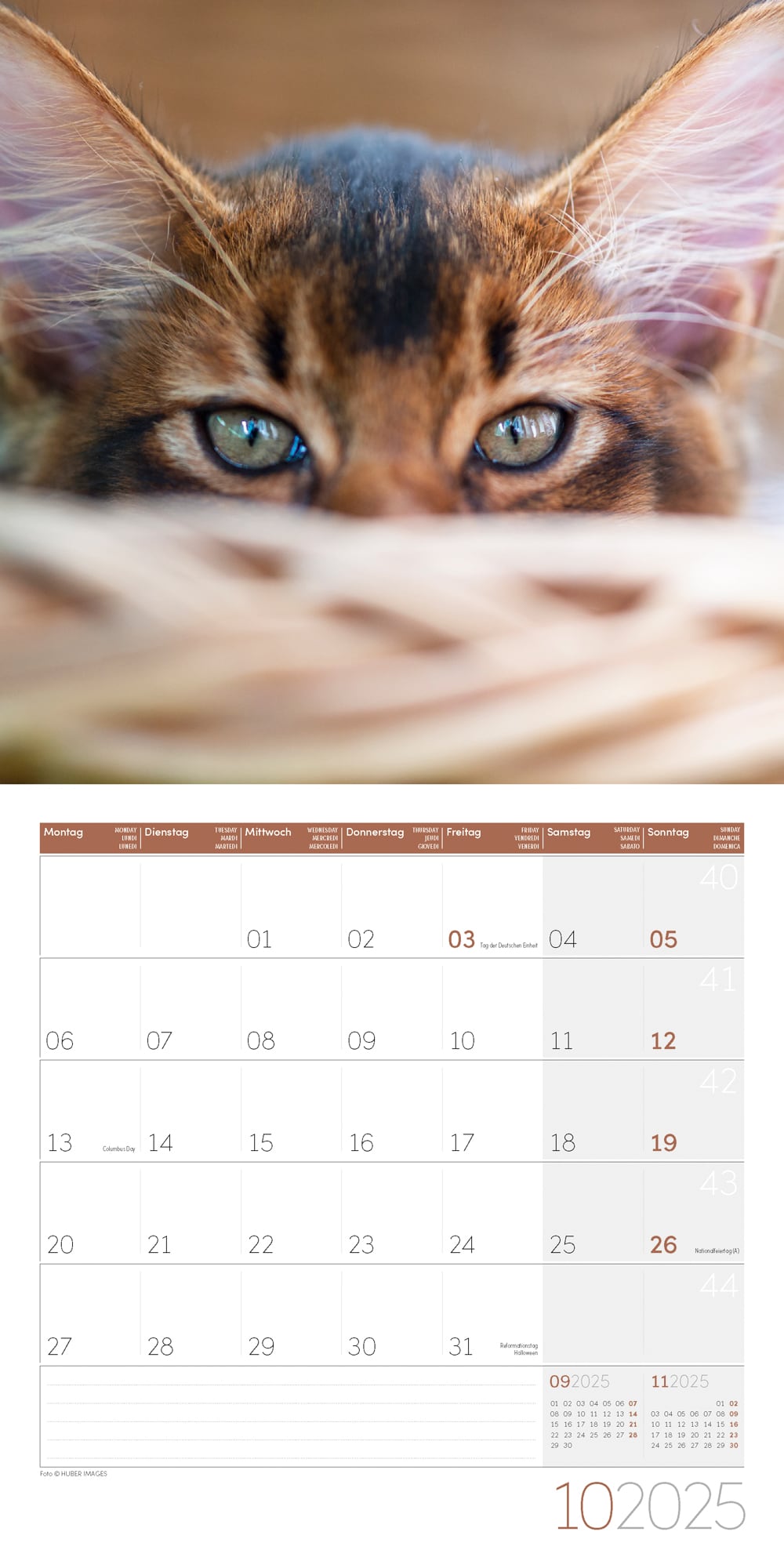 Art12 Collection Kalender Katzen 2025 - 30x30 - Innenansicht 10