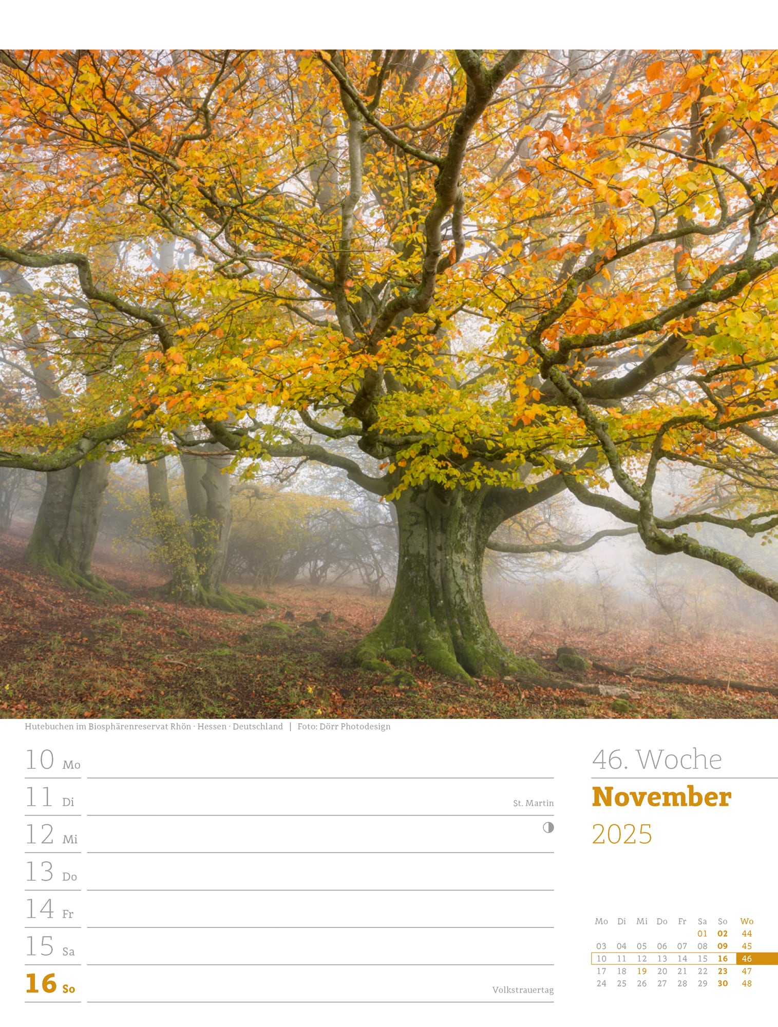 Ackermann Calendar Our Forest 2025 - Weekly Planner - Inside View 49